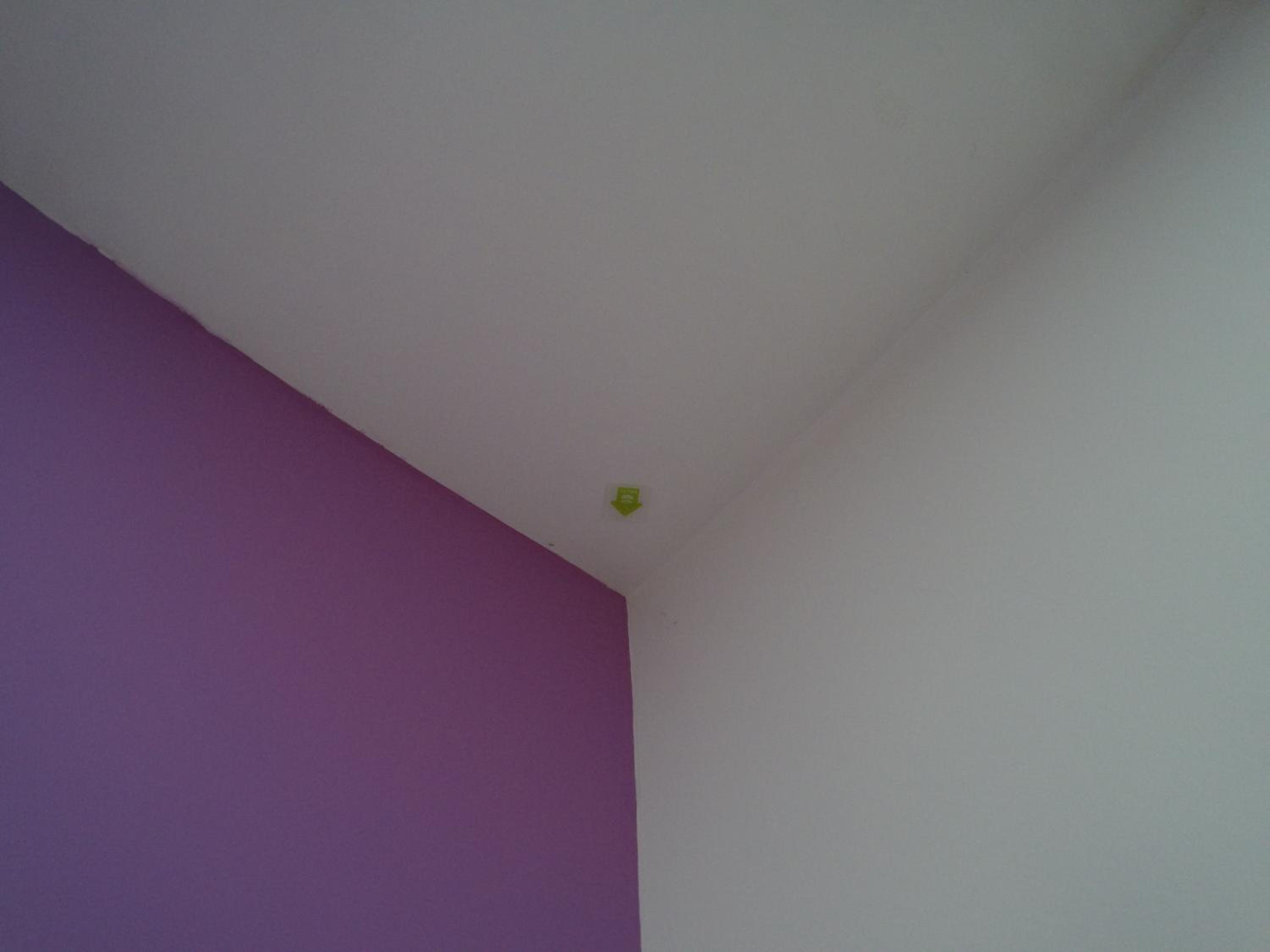 Photo 57