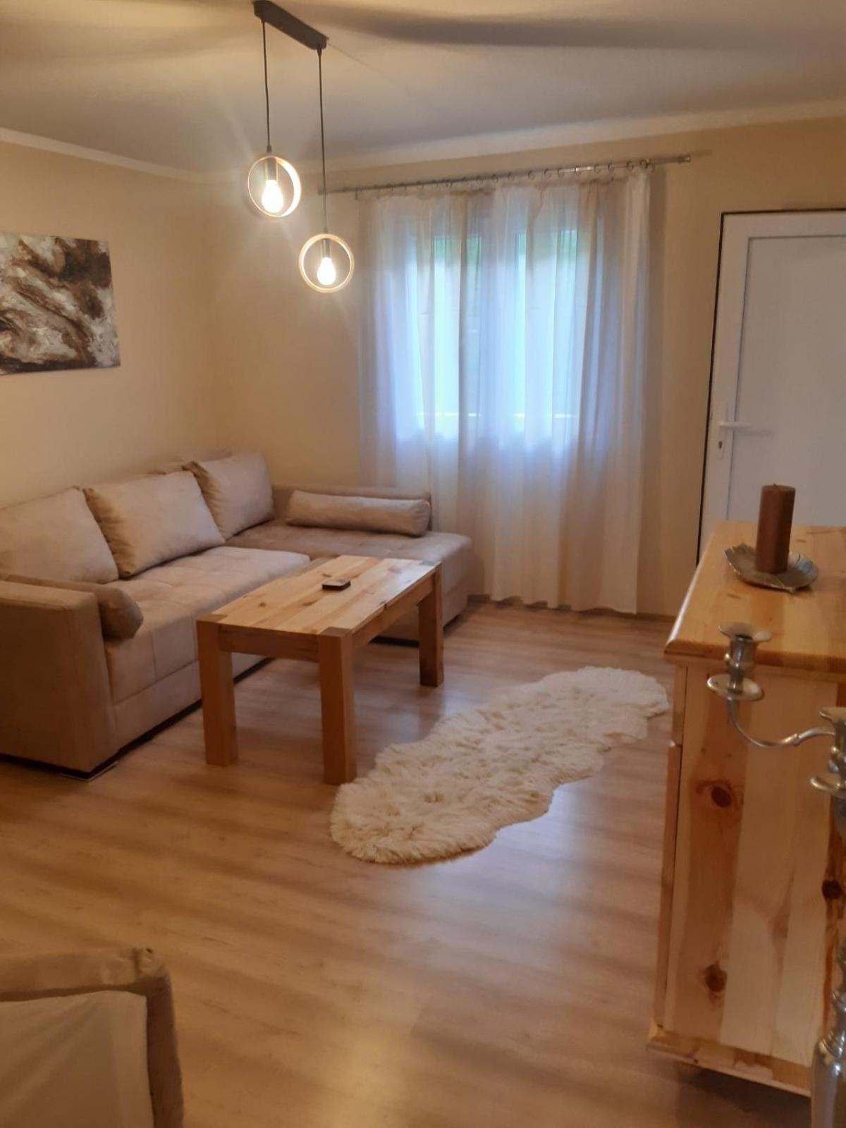 Seoska kuća Rakić - Tara view 3
