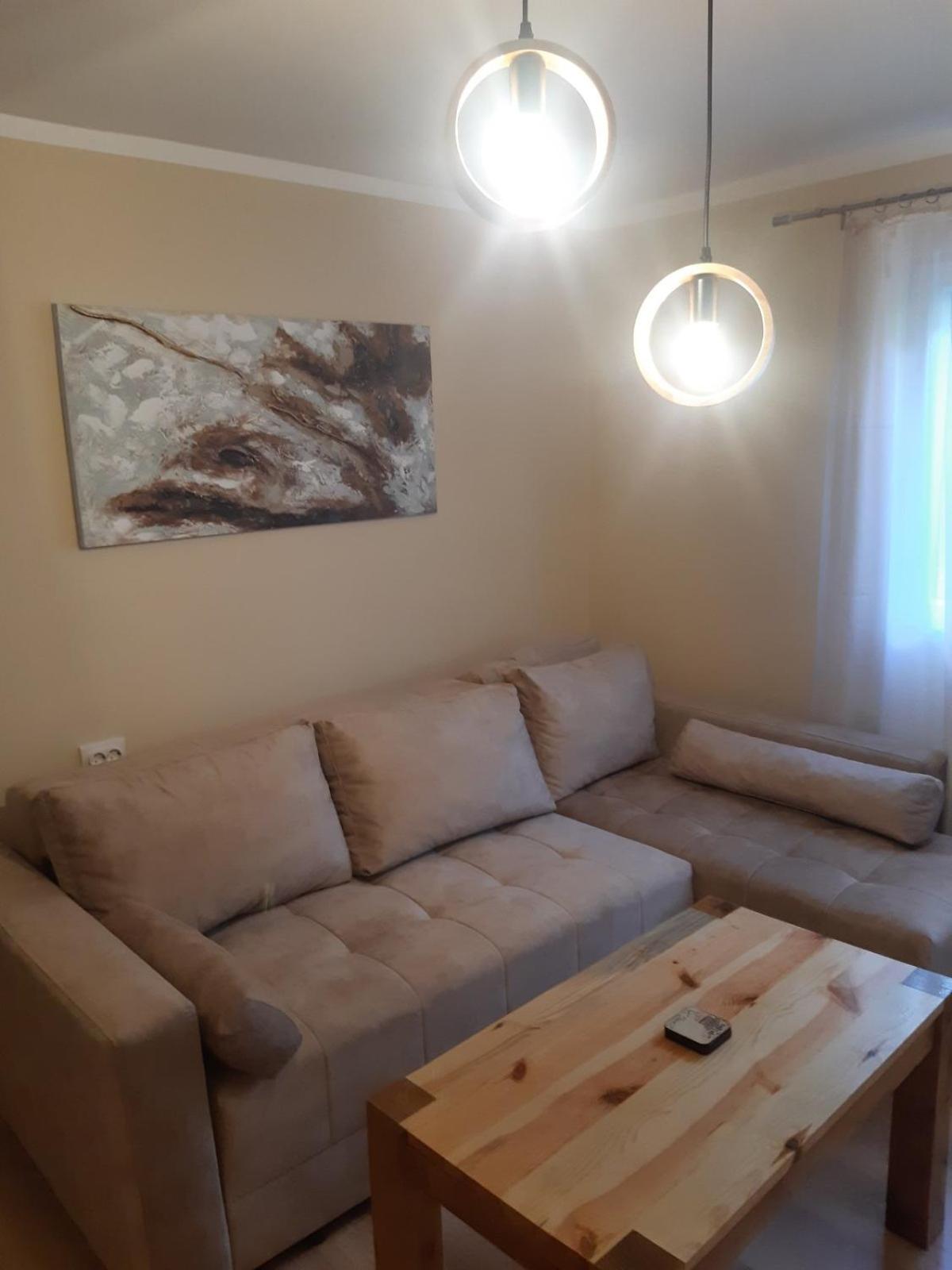 Seoska kuća Rakić - Tara view 5