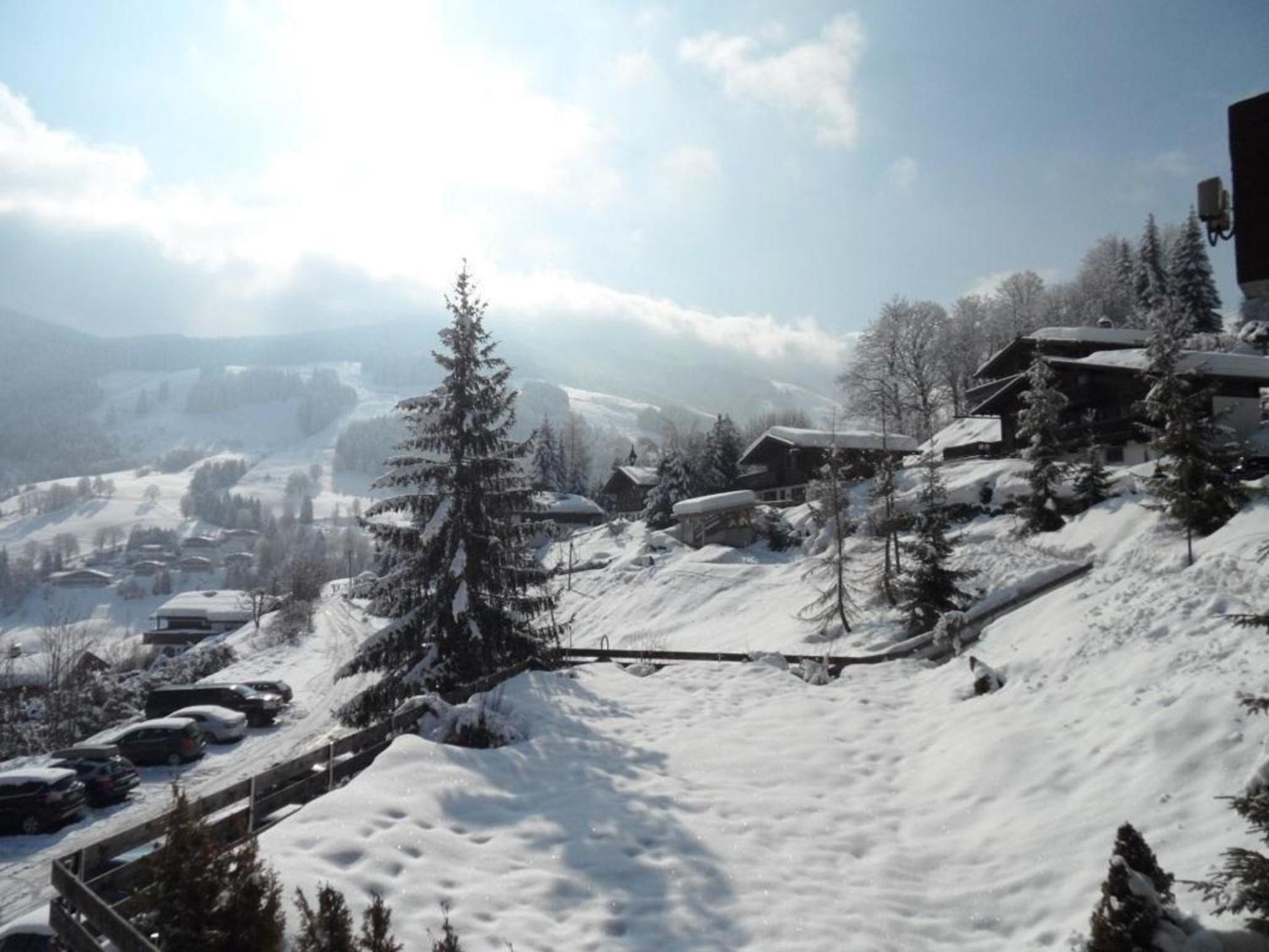 Ferienwohnung Nr 26, Appartementhaus-Hintermoos, Maria-Alm, Österreich
