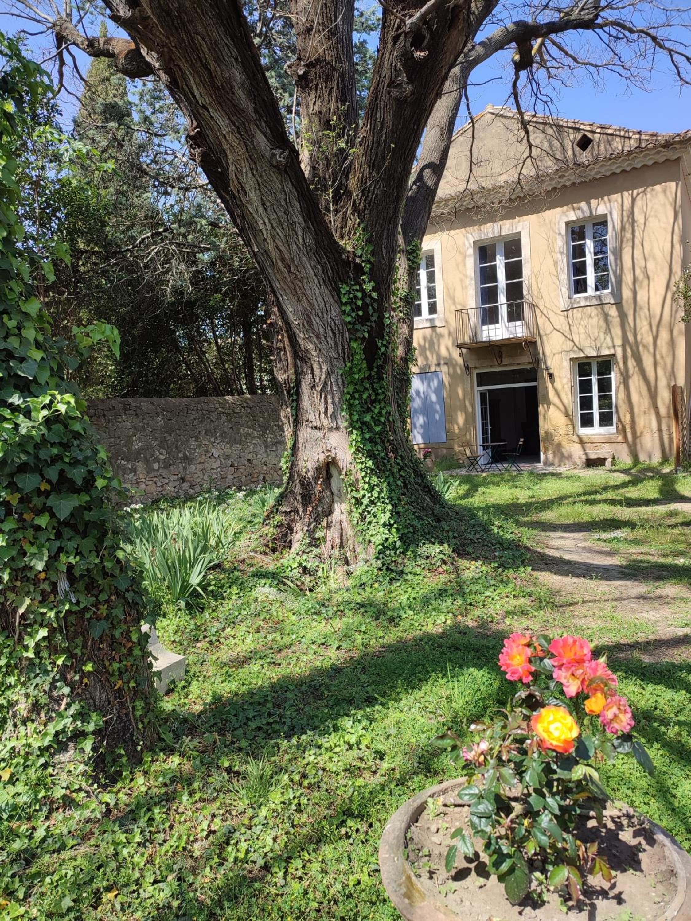 lemasrocamour, photo 29