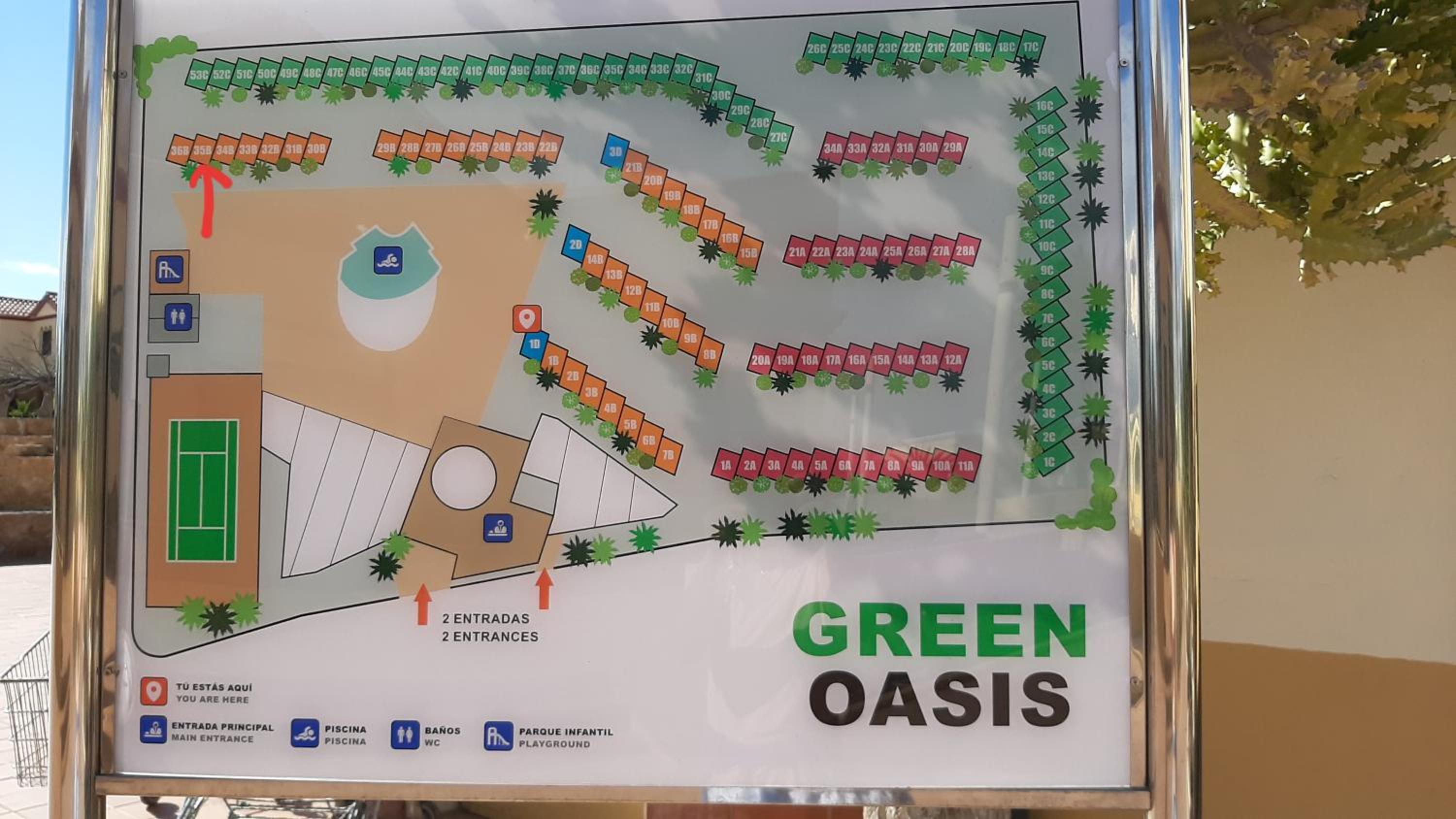 Green Oasis by the pool view 4