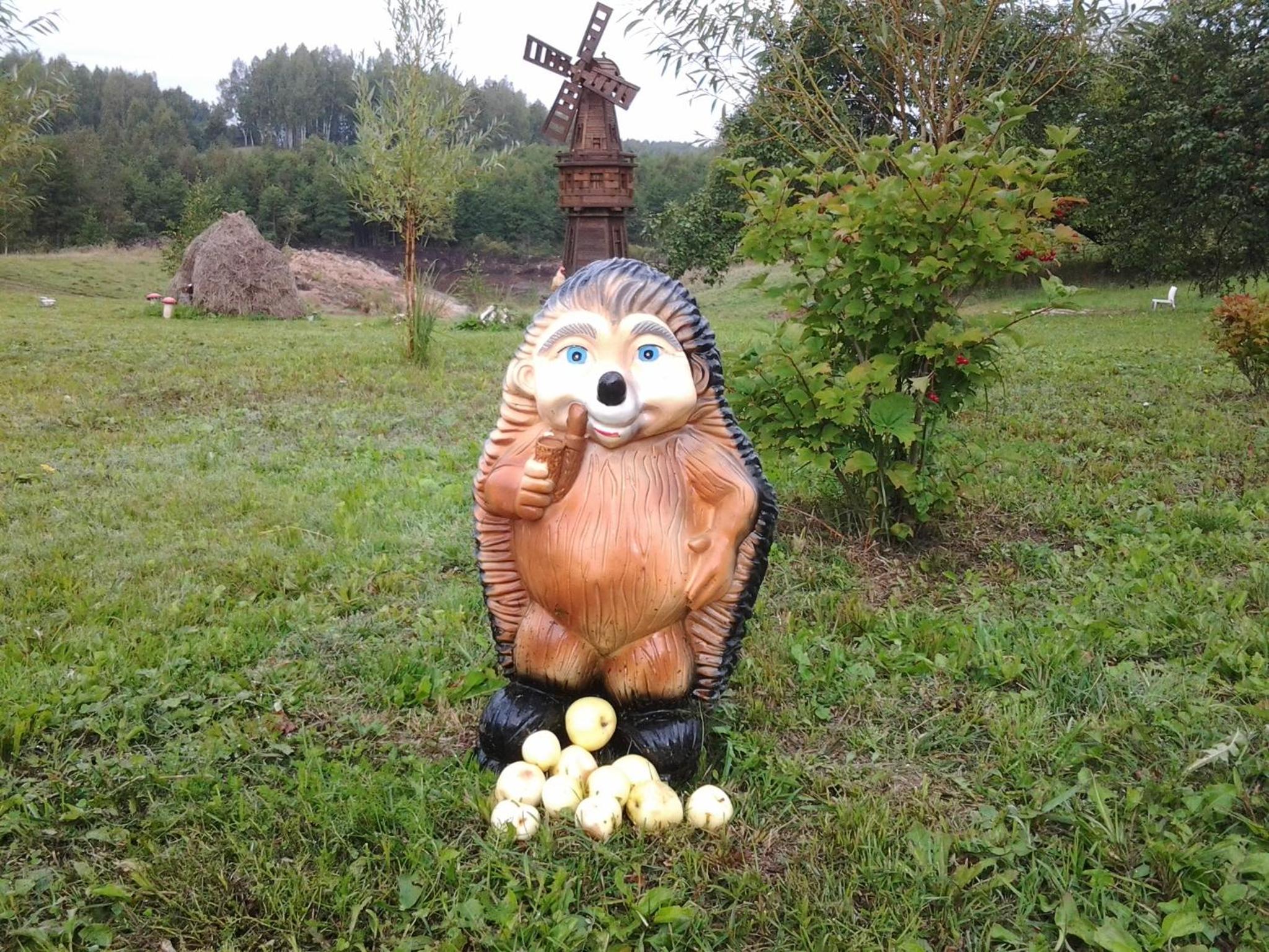 Photo 25