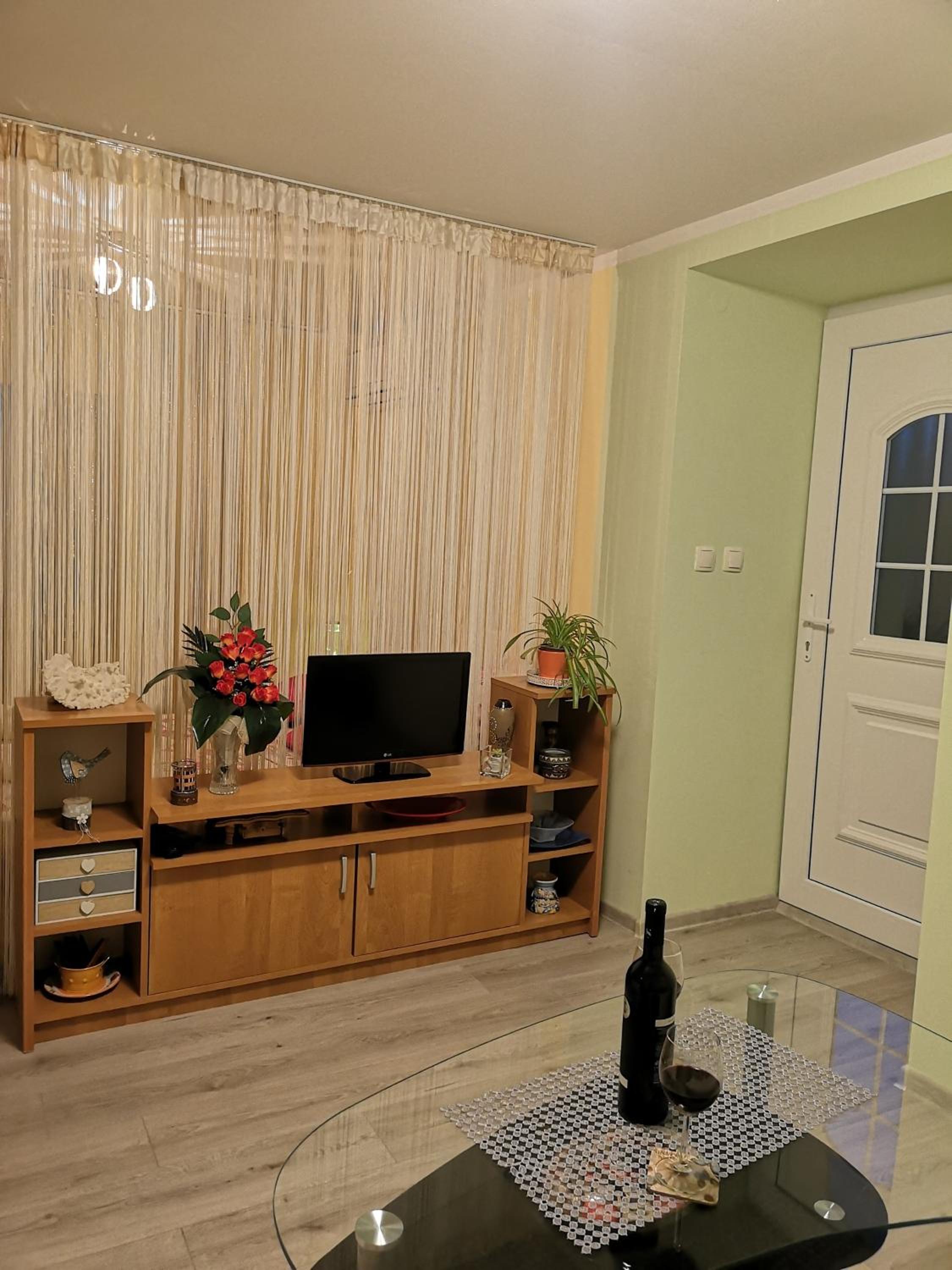 Apartman Sana view 4