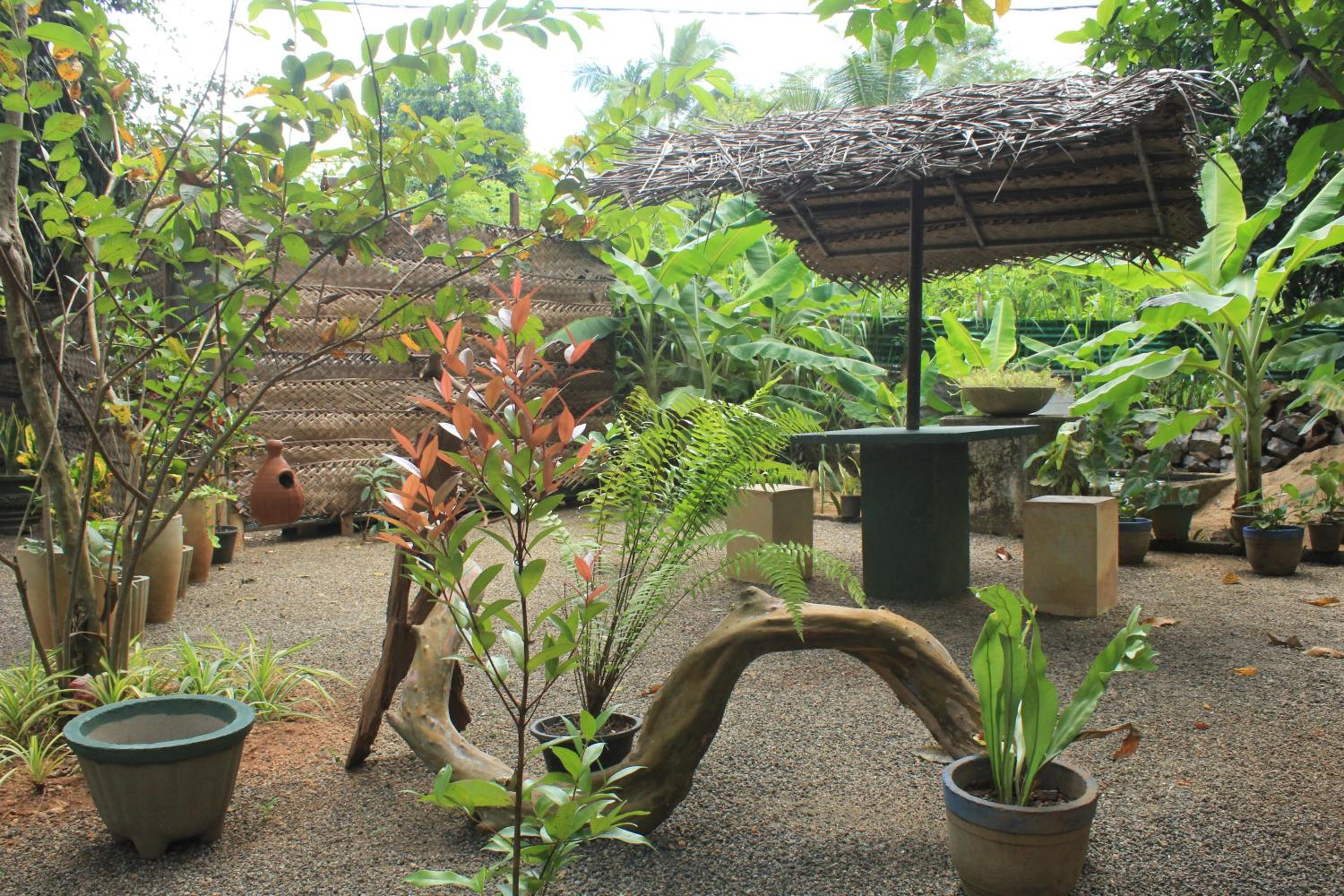 Chandi Relax Hostel view 3