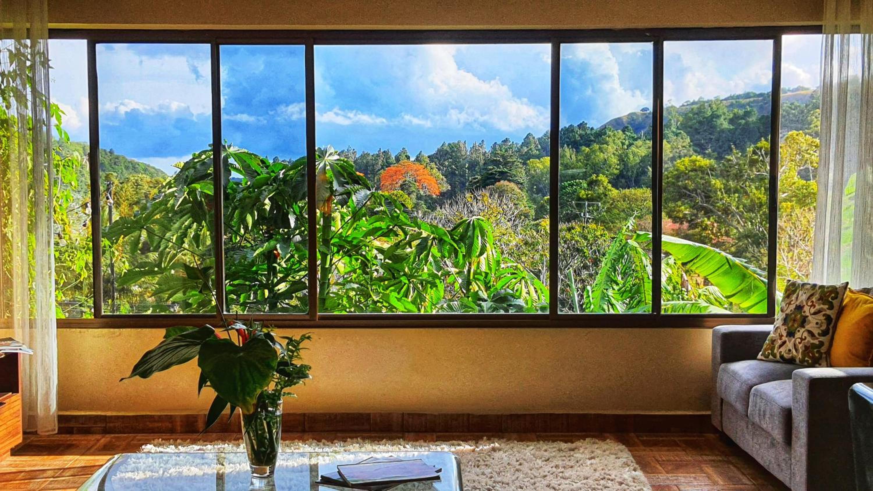 Villa Alejandro view 4