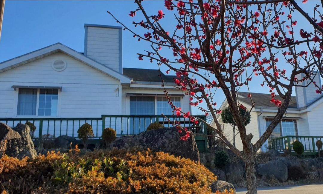 Jeju Skyline Pension