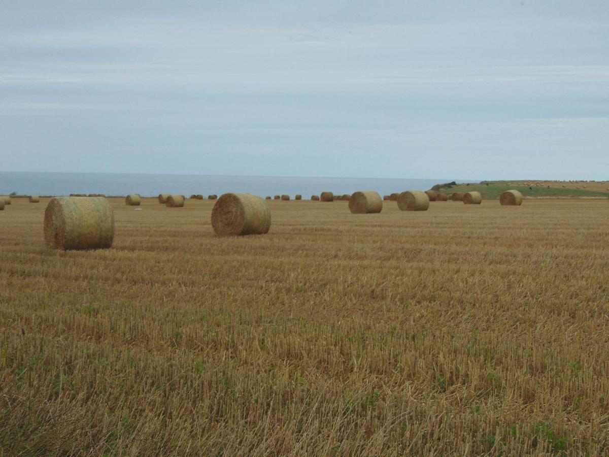 Le Grenier D'Isafil - Property Image 2