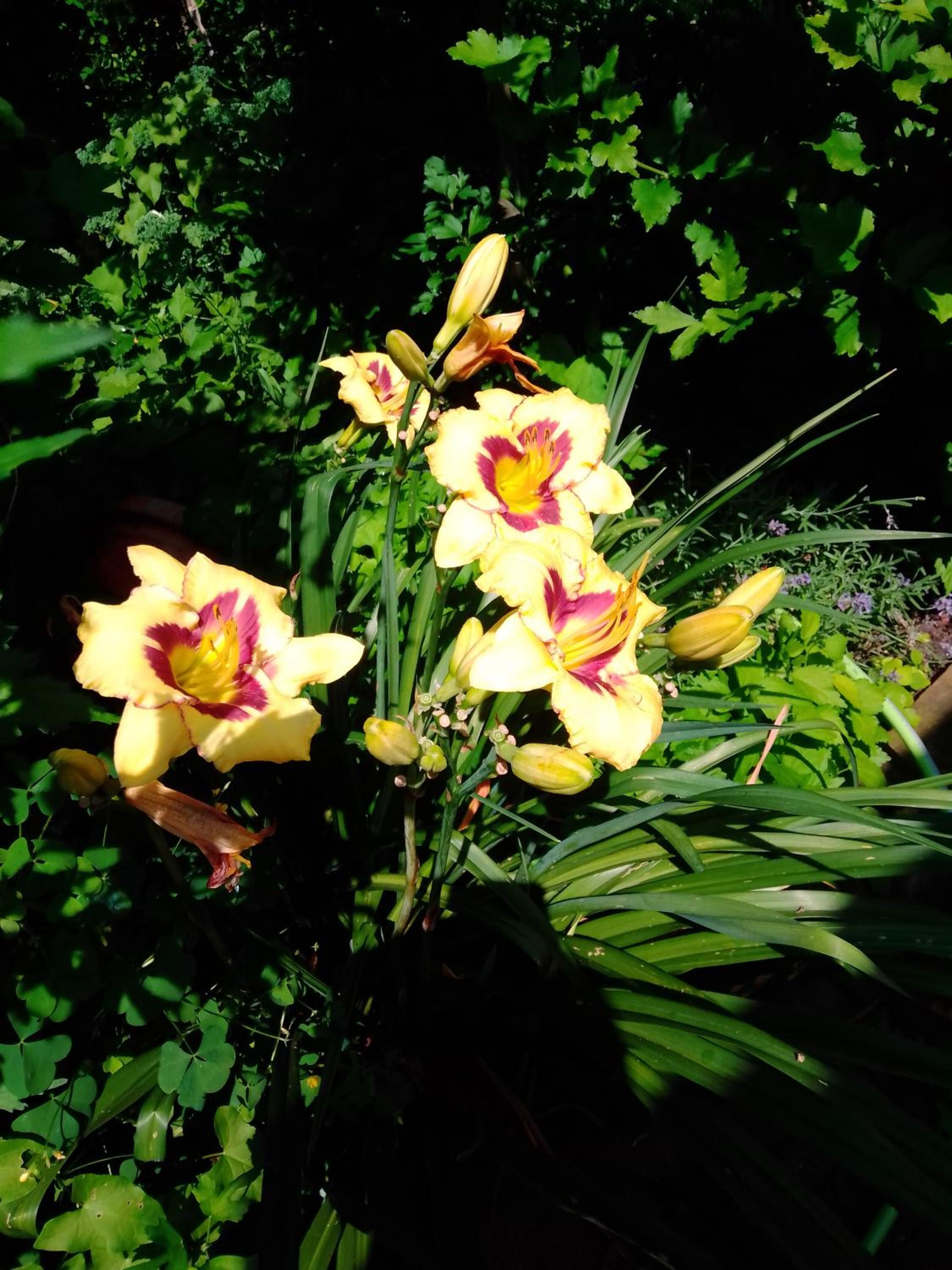 Photo 32