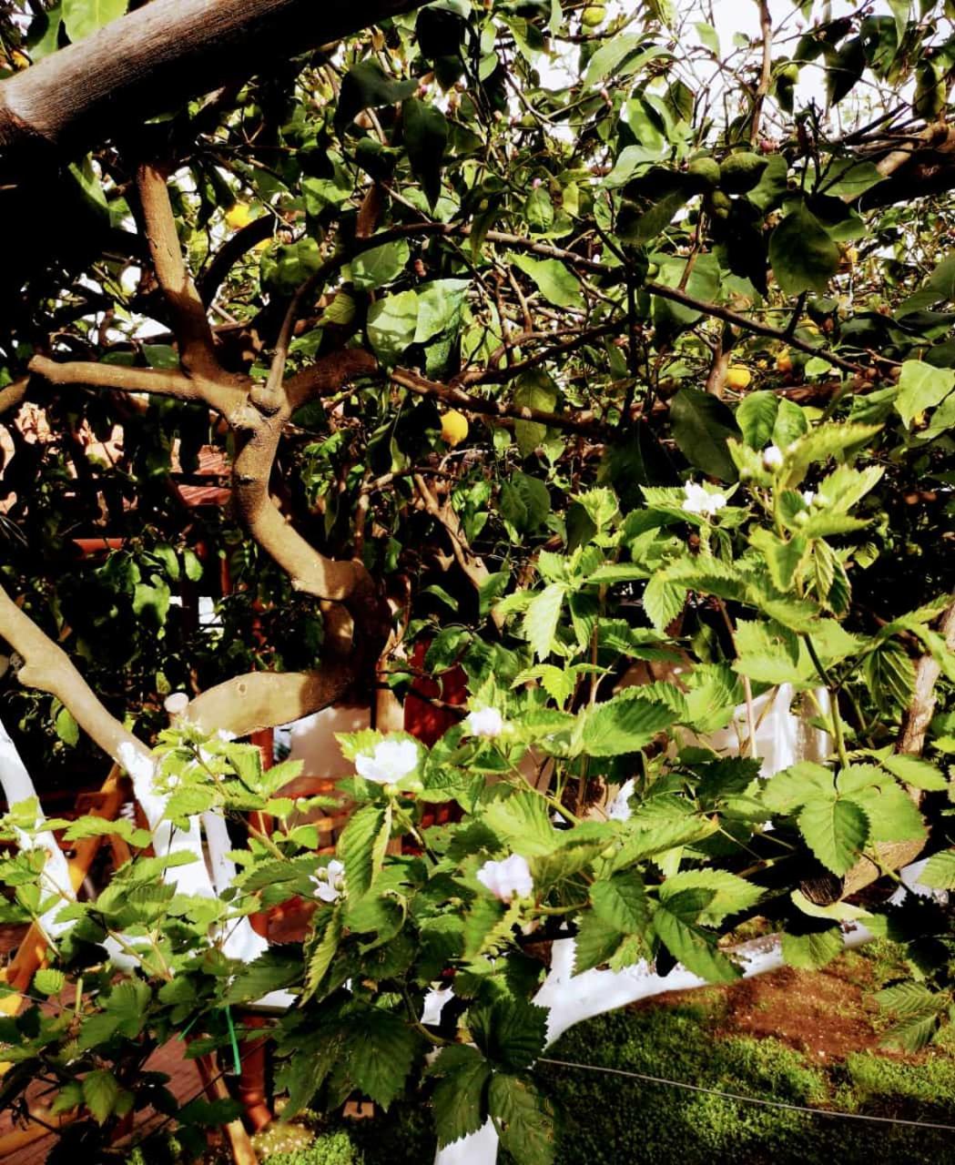 Photo 44