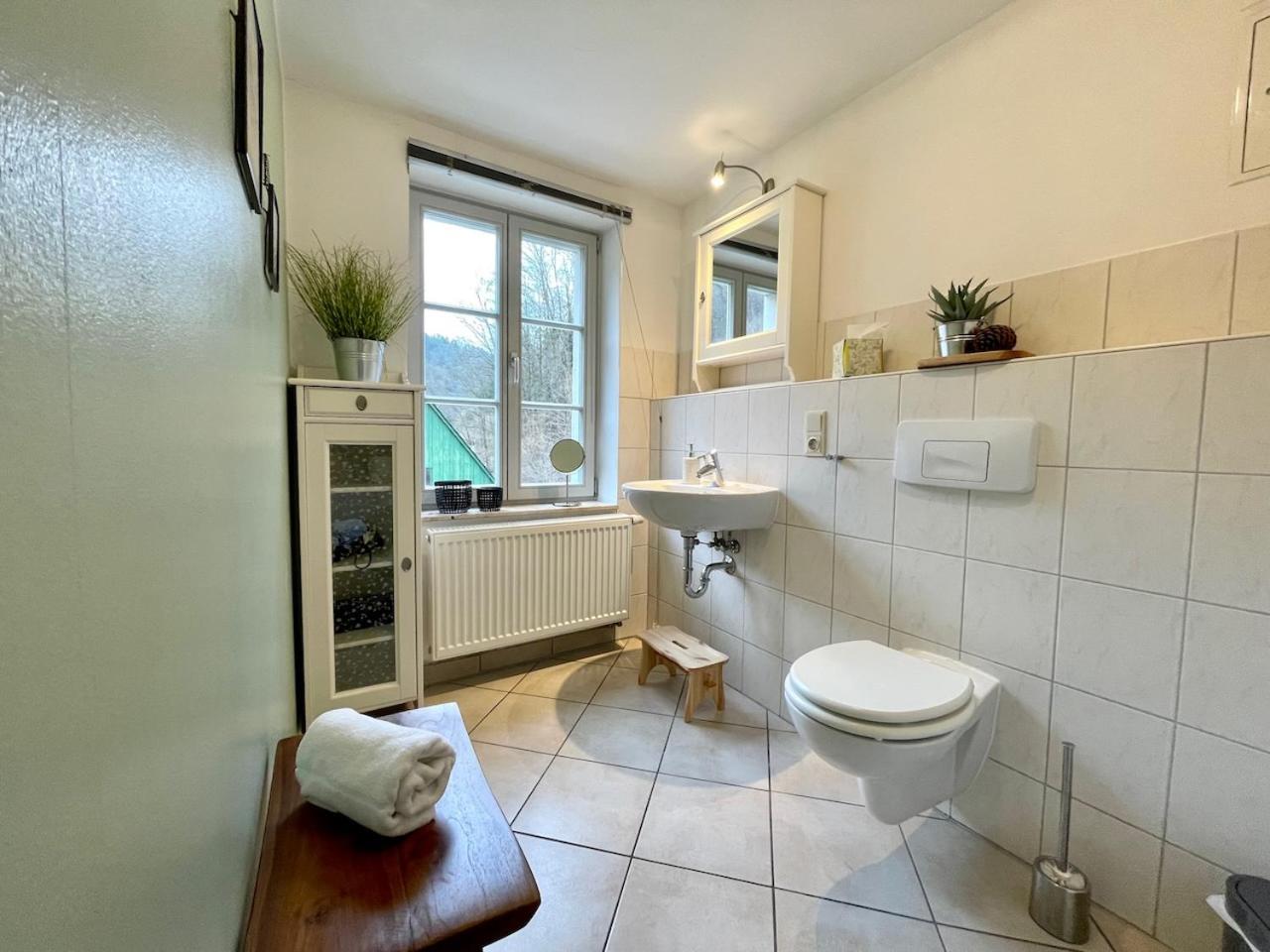 Villa Monsei - das Herzstück in Bad Schandau, top Lage, modern, mit Parkplatz!