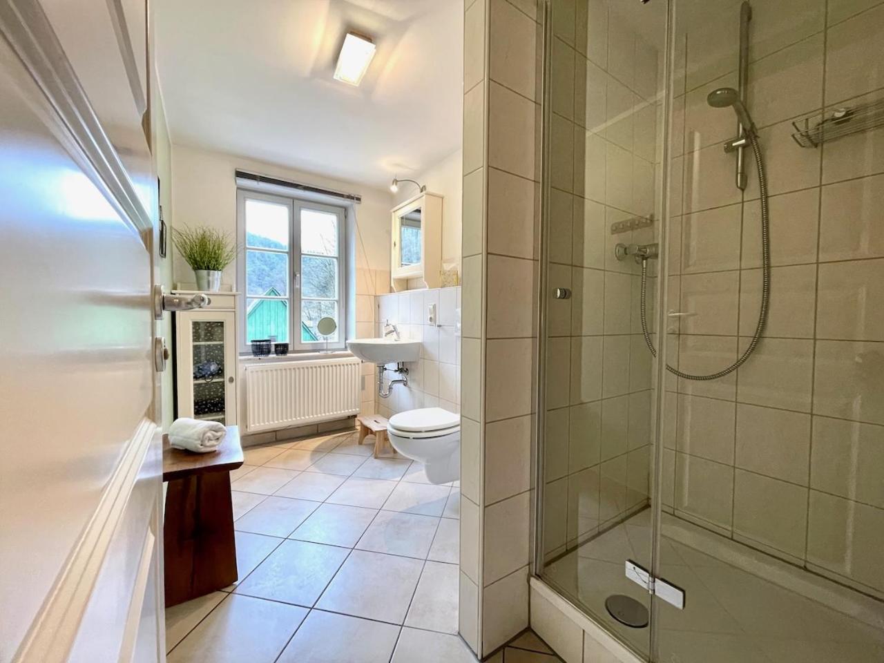Villa Monsei - das Herzstück in Bad Schandau, top Lage, modern, mit Parkplatz!