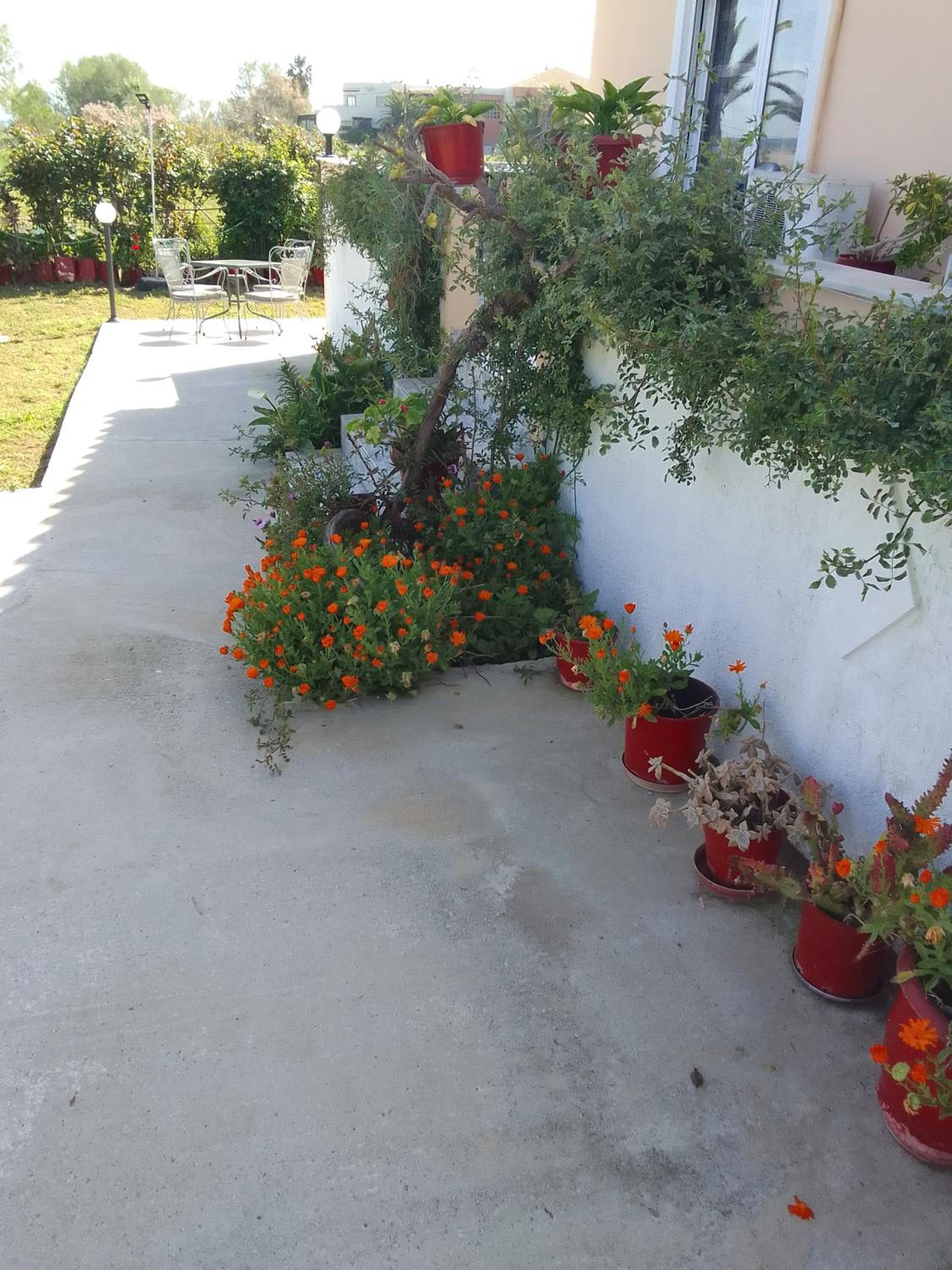 Photo 29
