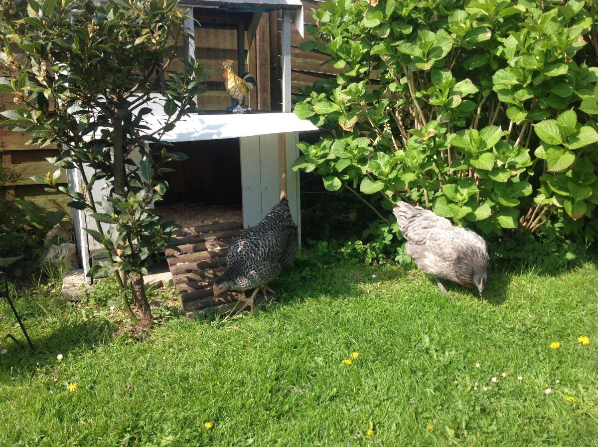 Le Jardin des Poules