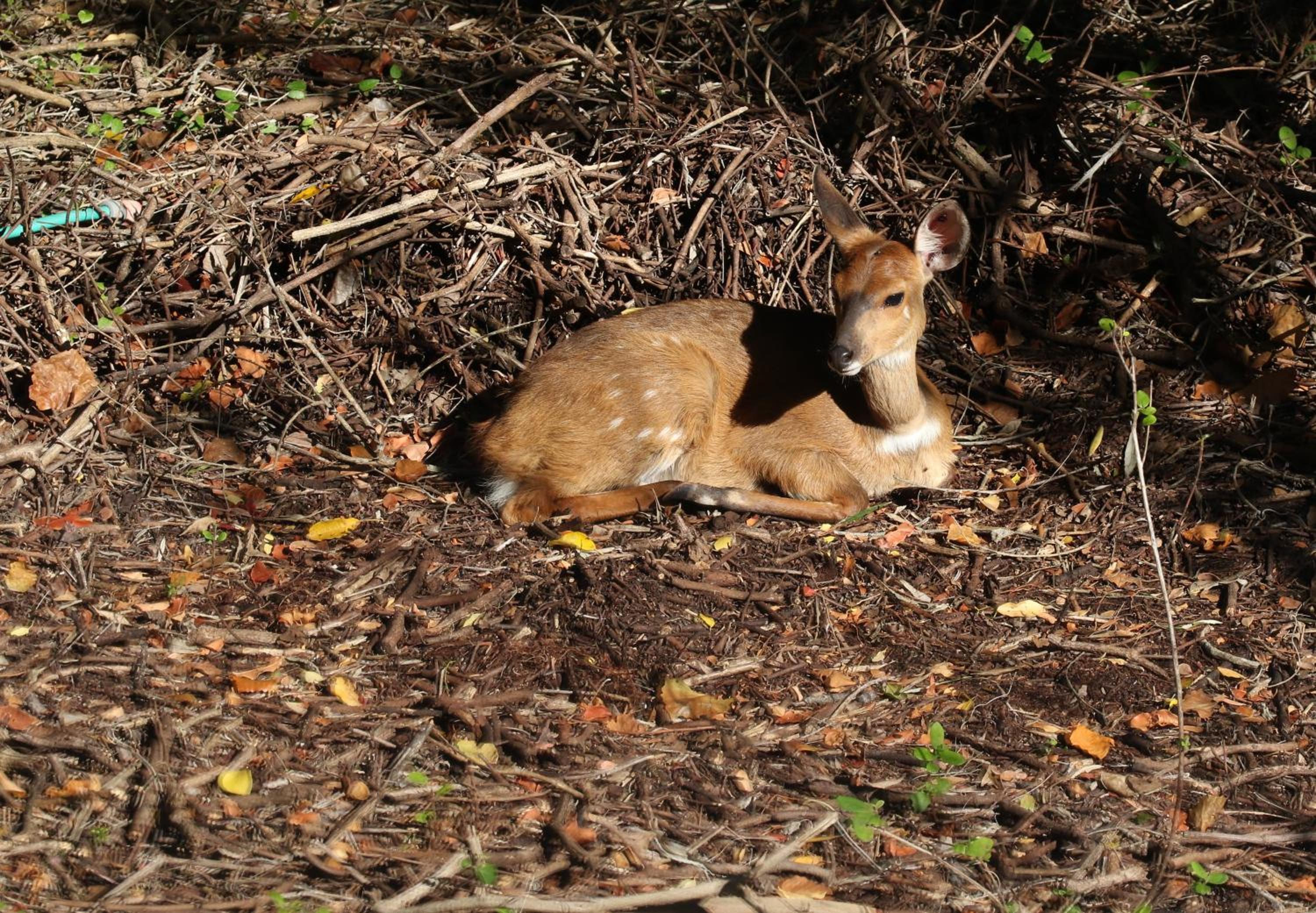 Photo 20