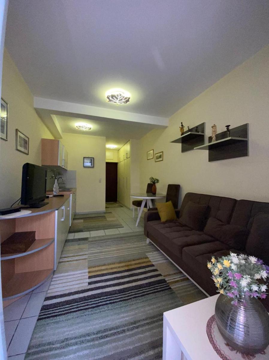 Flat Milena view 2