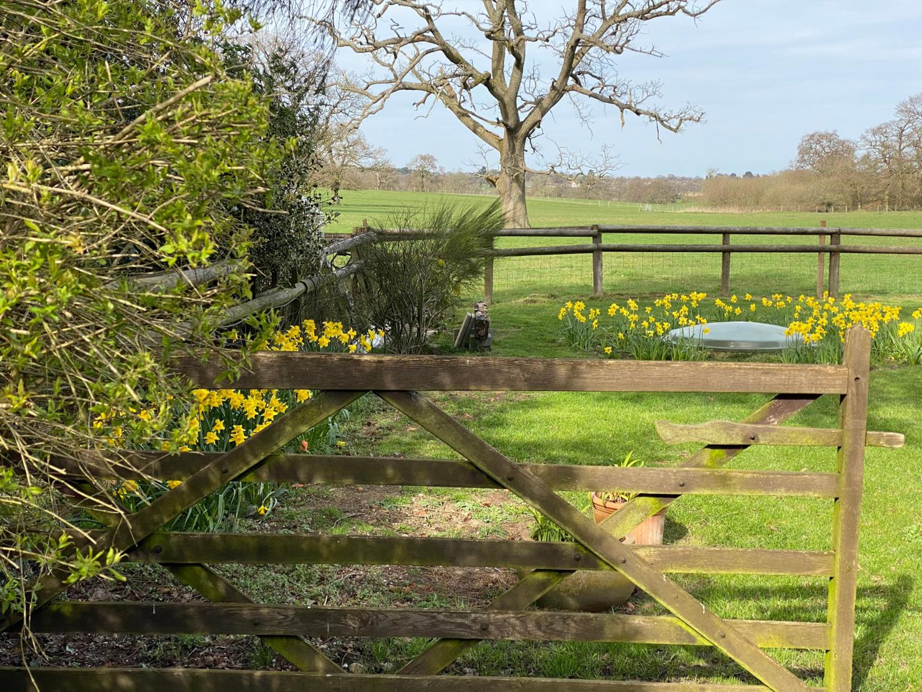 Private Room - Sleeps 2 - Private Entry - Parking view 4