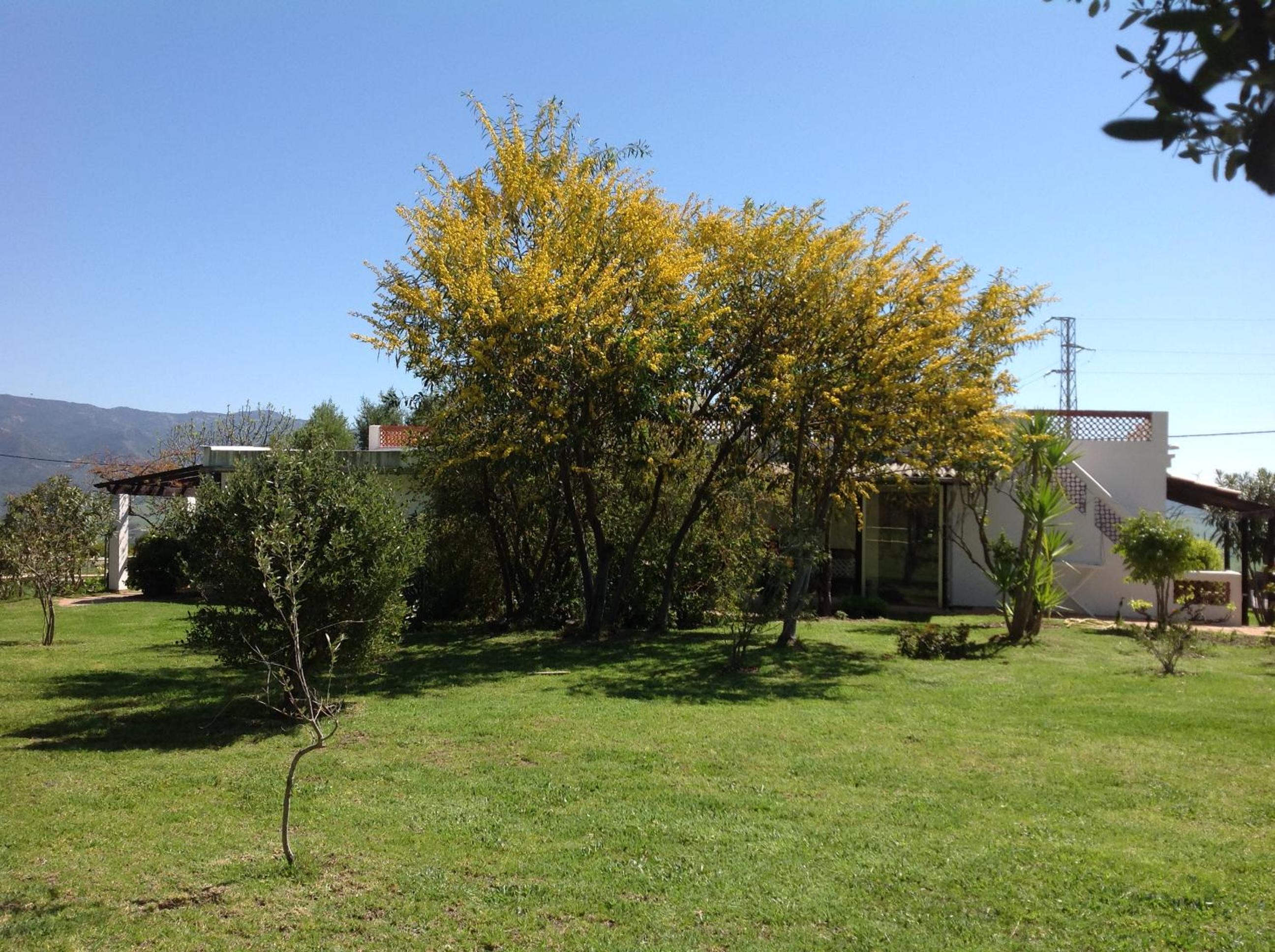Photo 19