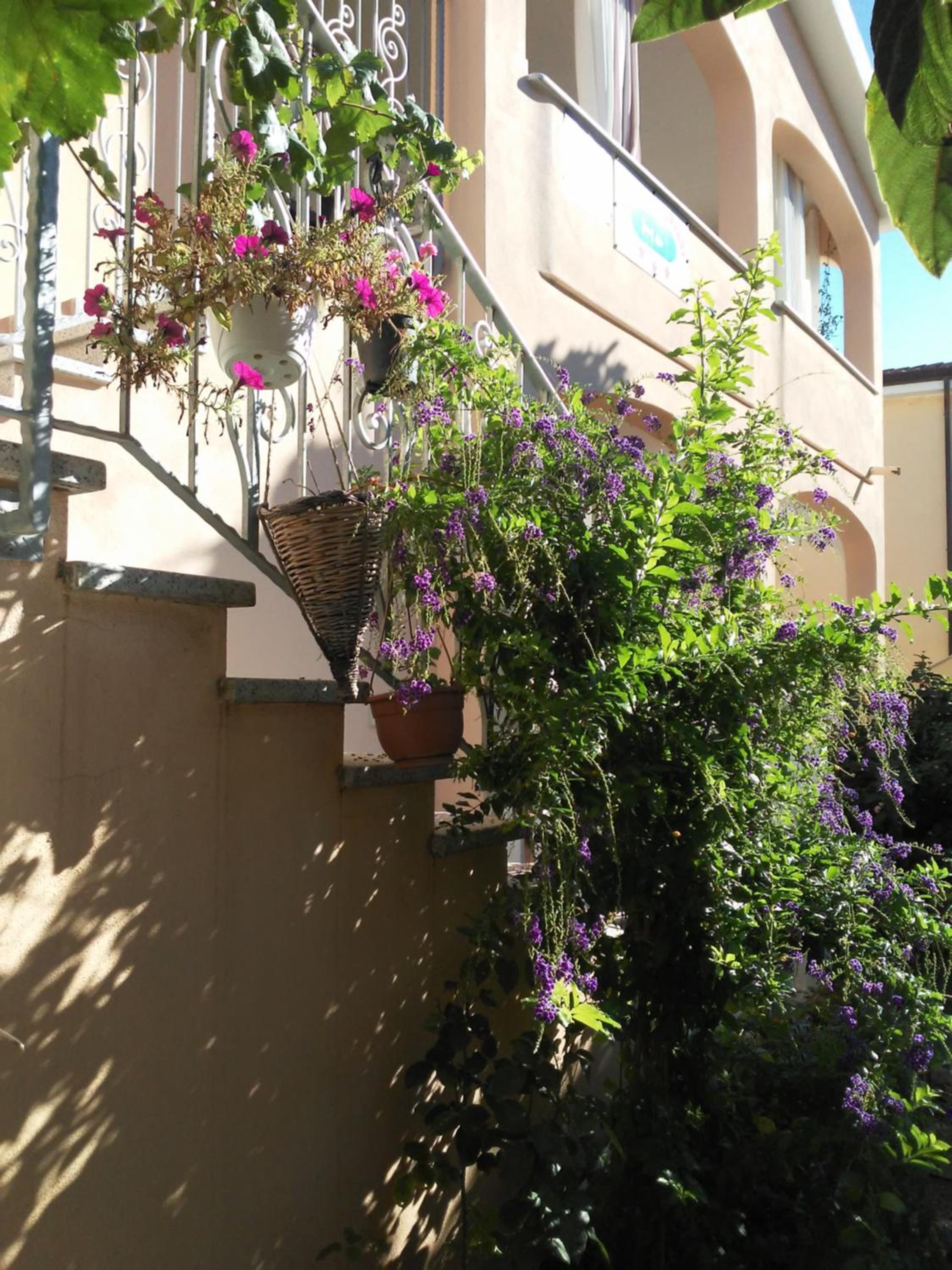 Photo 42