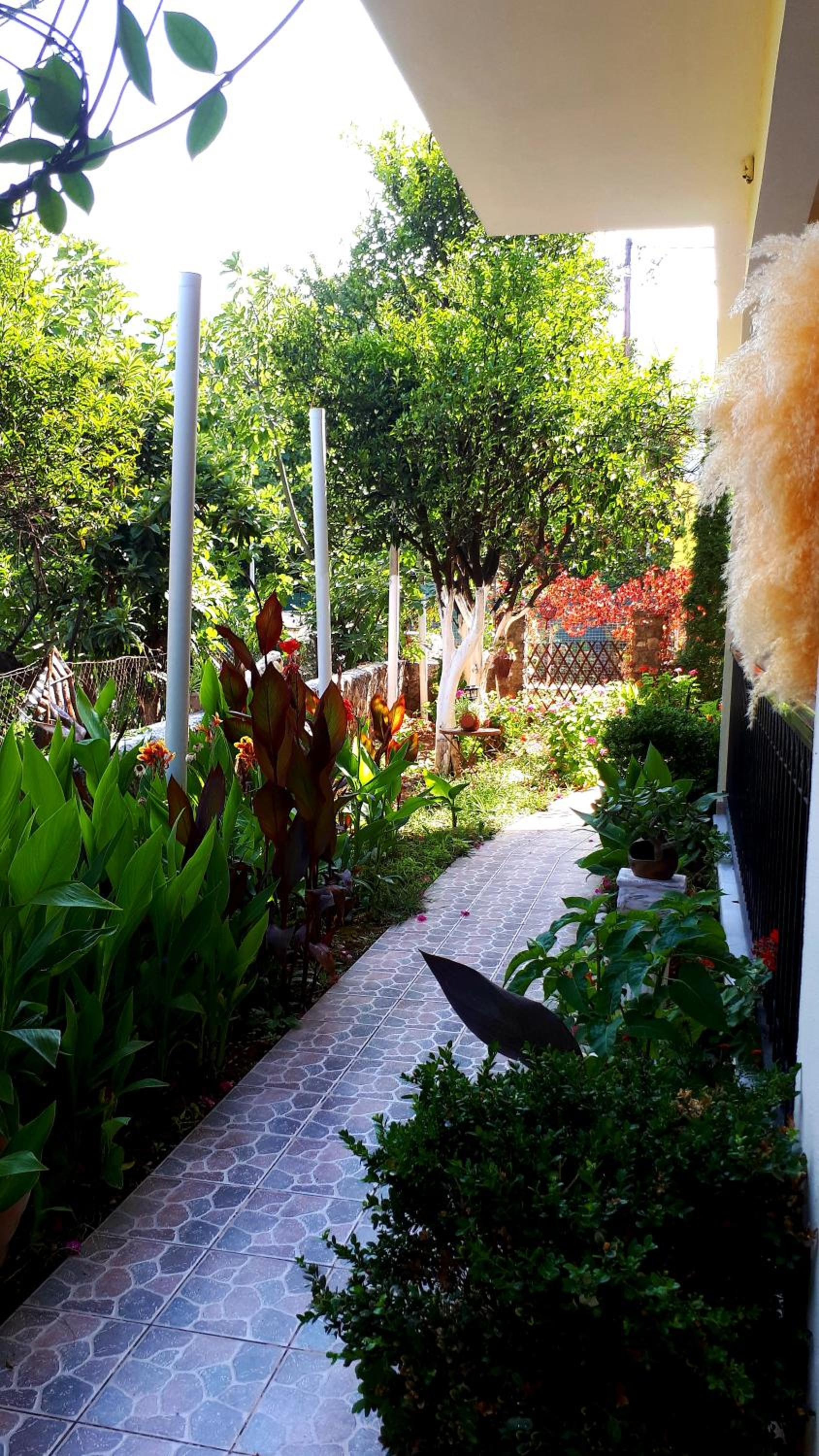 THOLETO APARTMENTS view 5