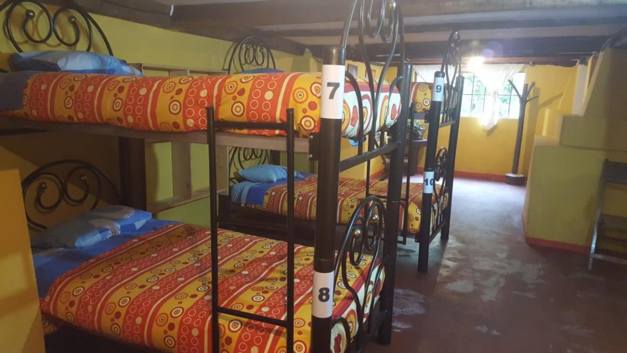 Altai Oasis Lodge