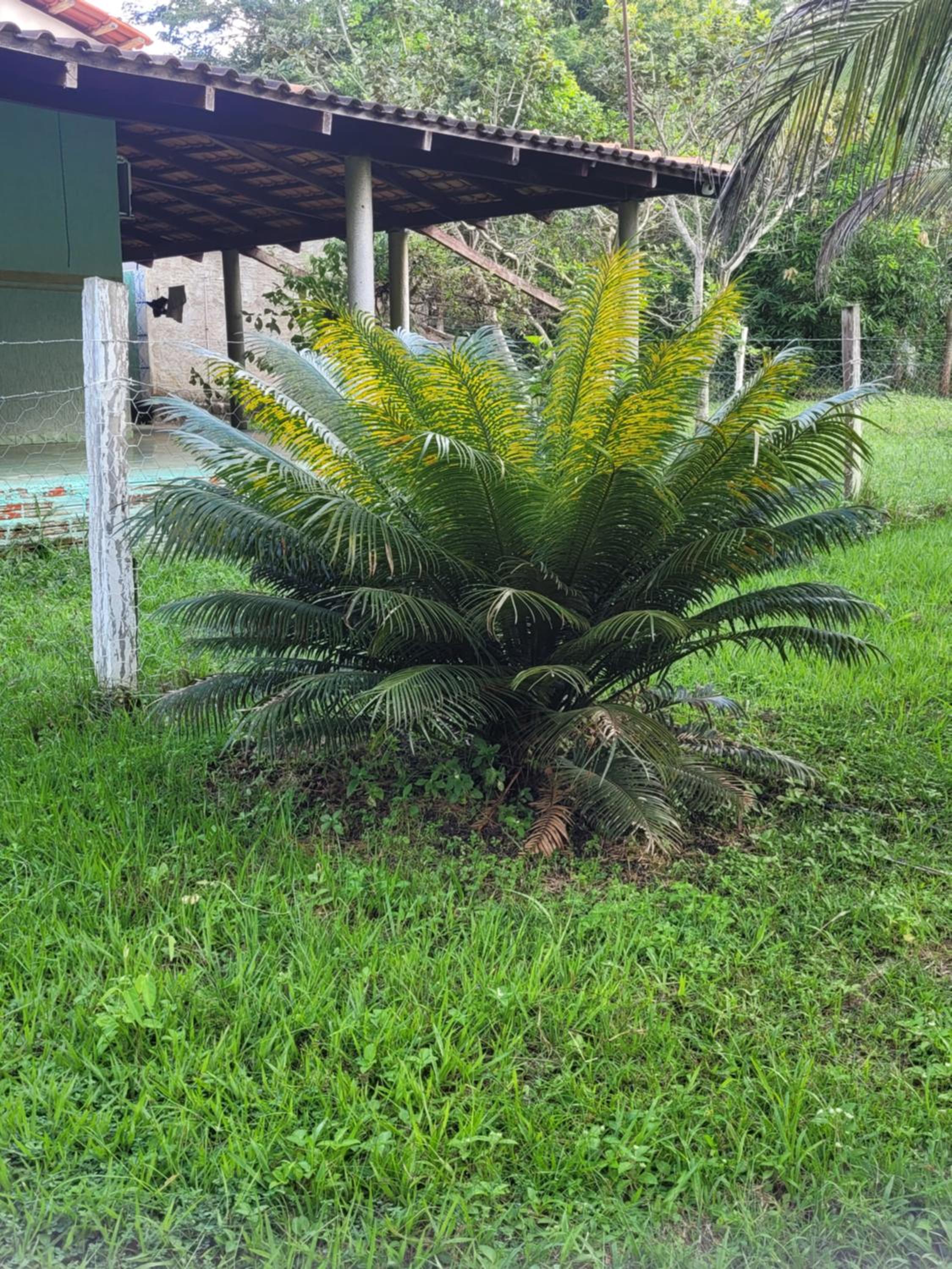 RECANTO DO SABIÁ