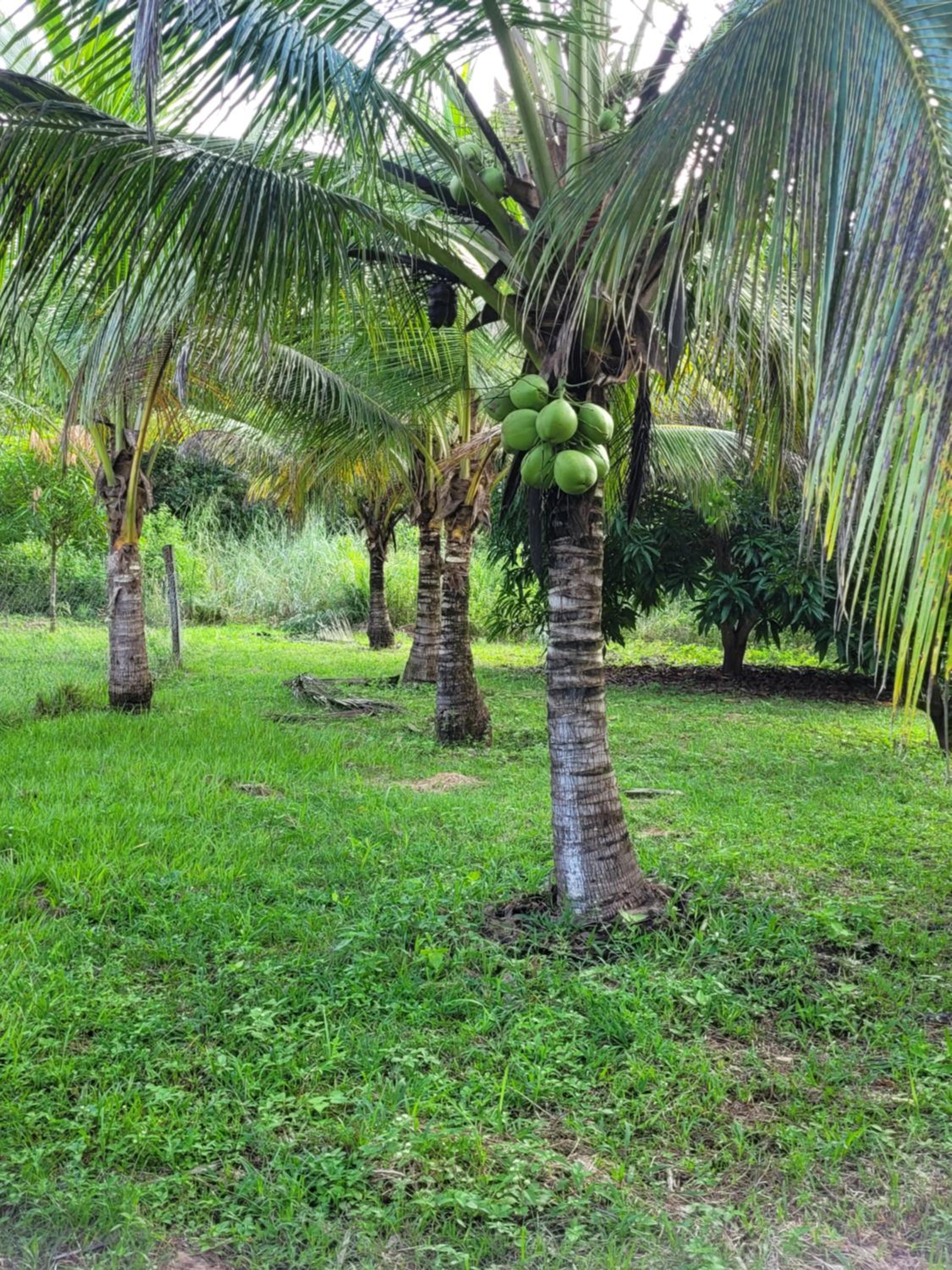 RECANTO DO SABIÁ