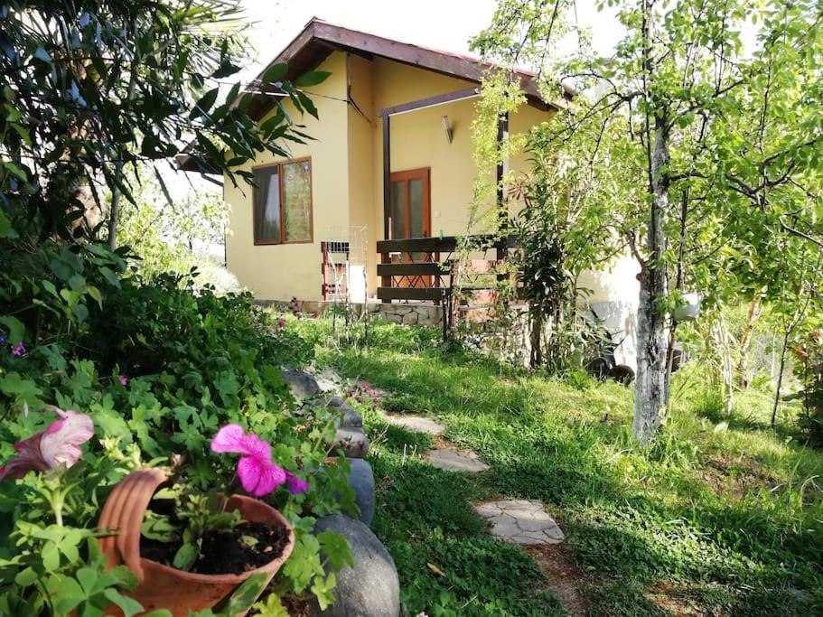 Yellow Villa