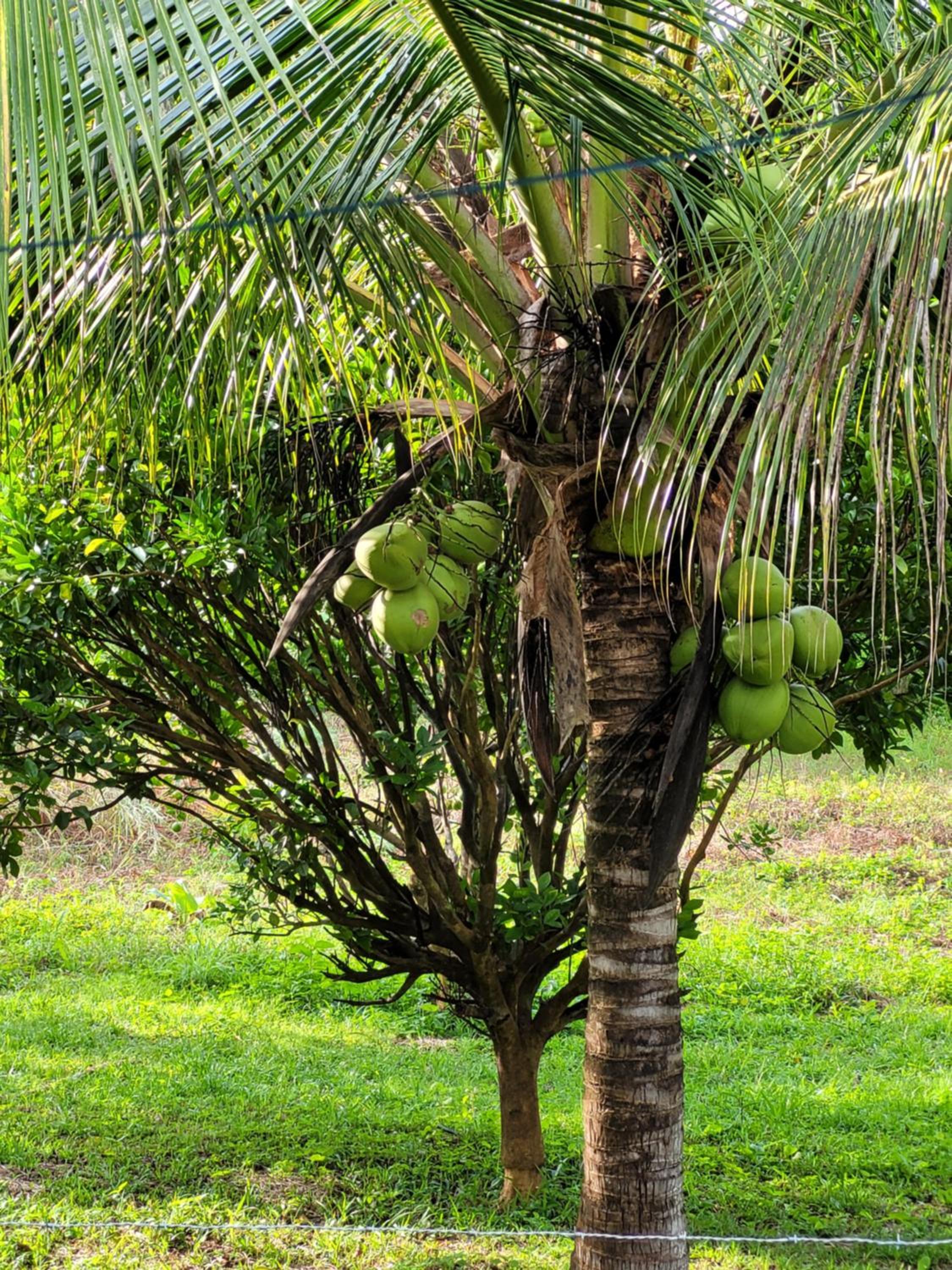 RECANTO DO SABIÁ
