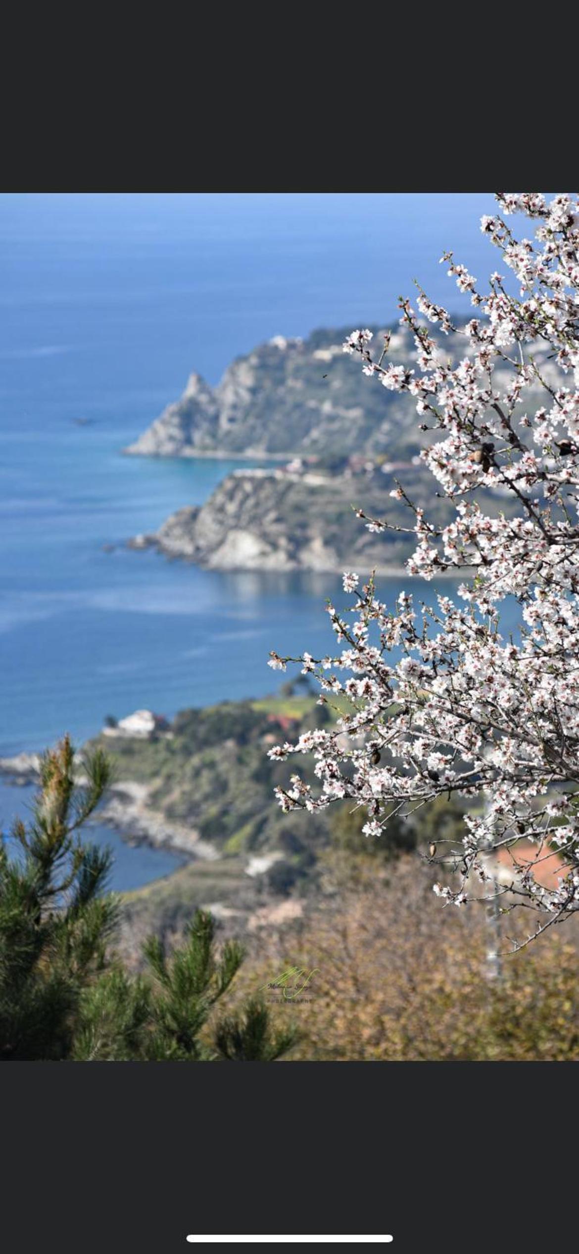 Villa Caterina