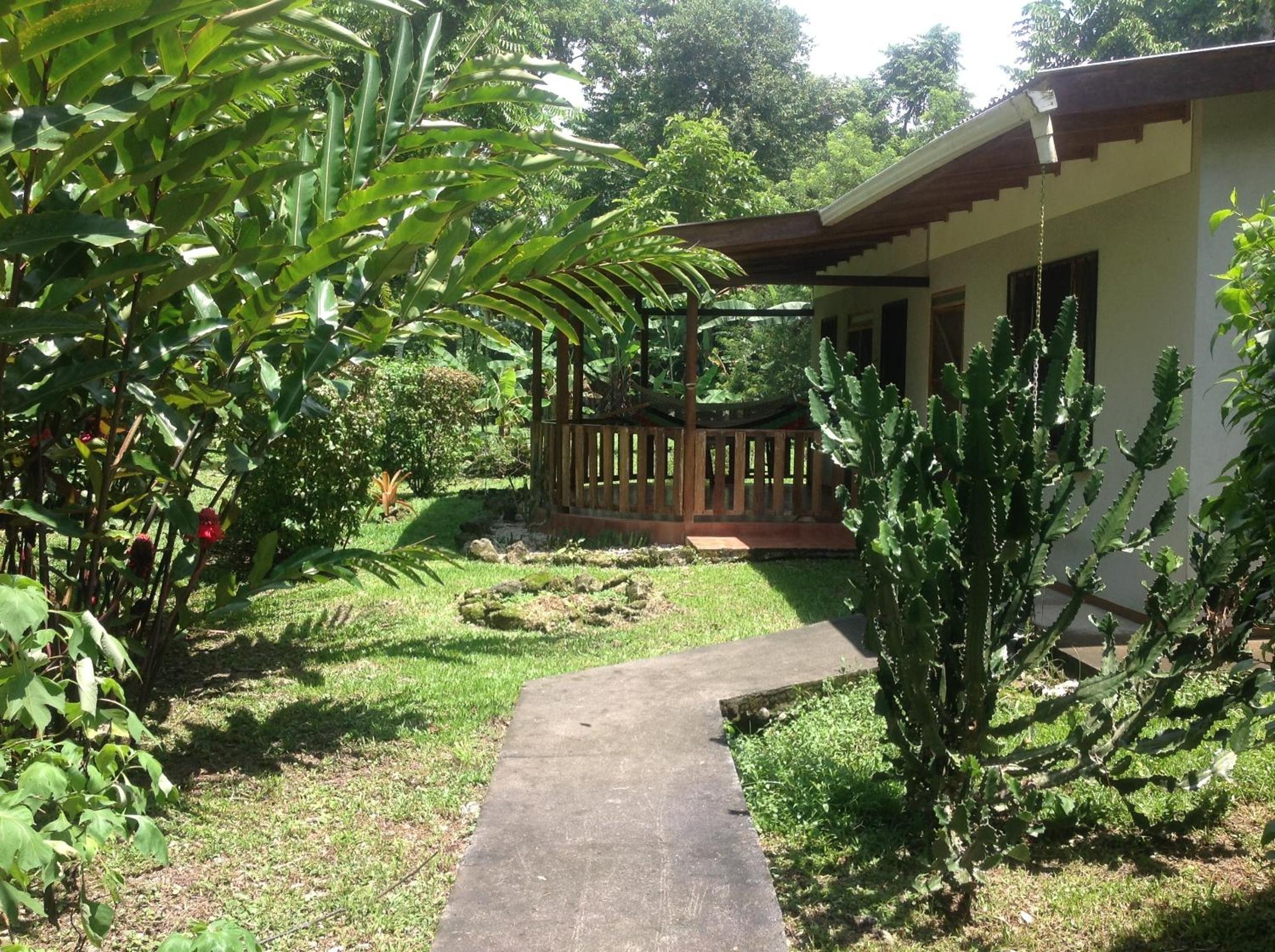 Photo 11