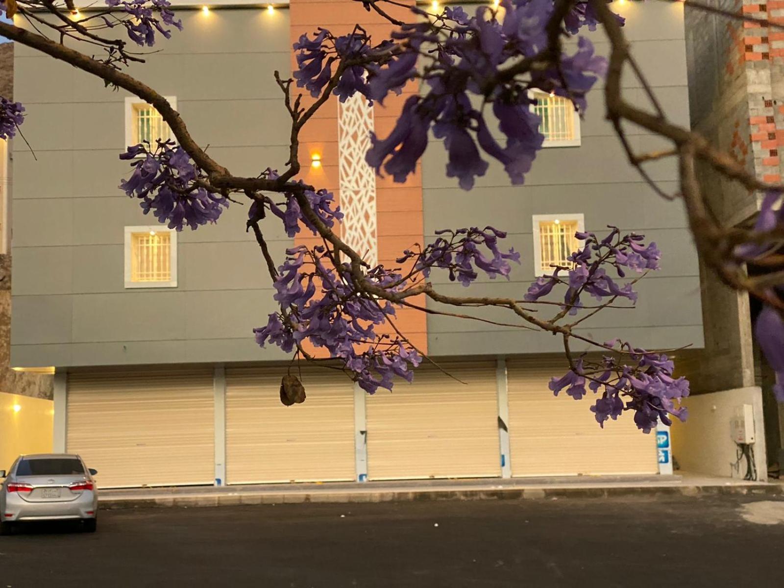 Hotel Bohemian style - Image 1