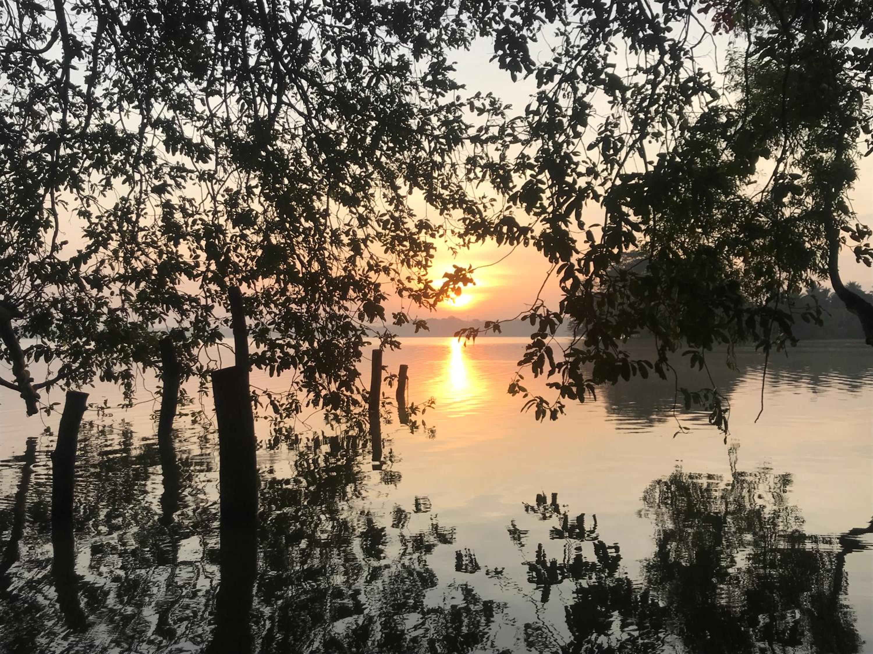 Aji fruit farm cottage peaceful lakeside farm stay with sunrise views 04 view 4