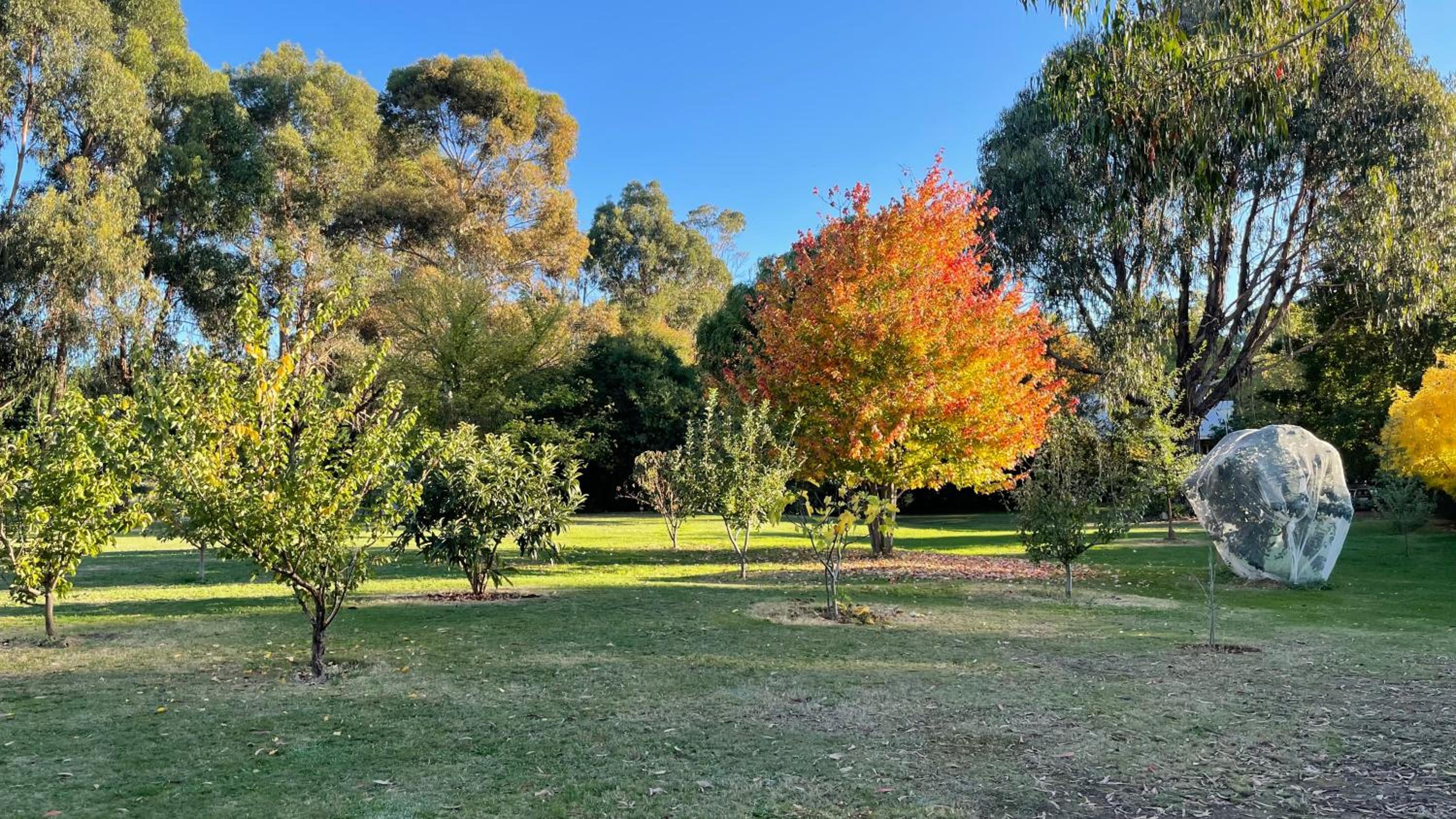 Beechworth House