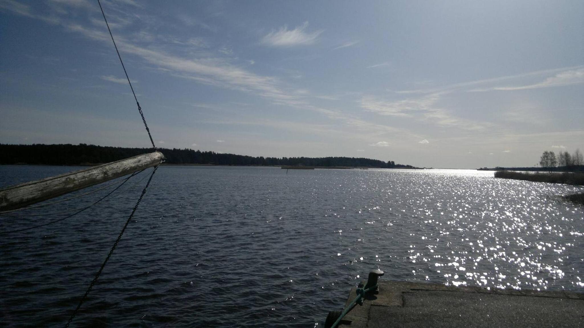 Photo 46