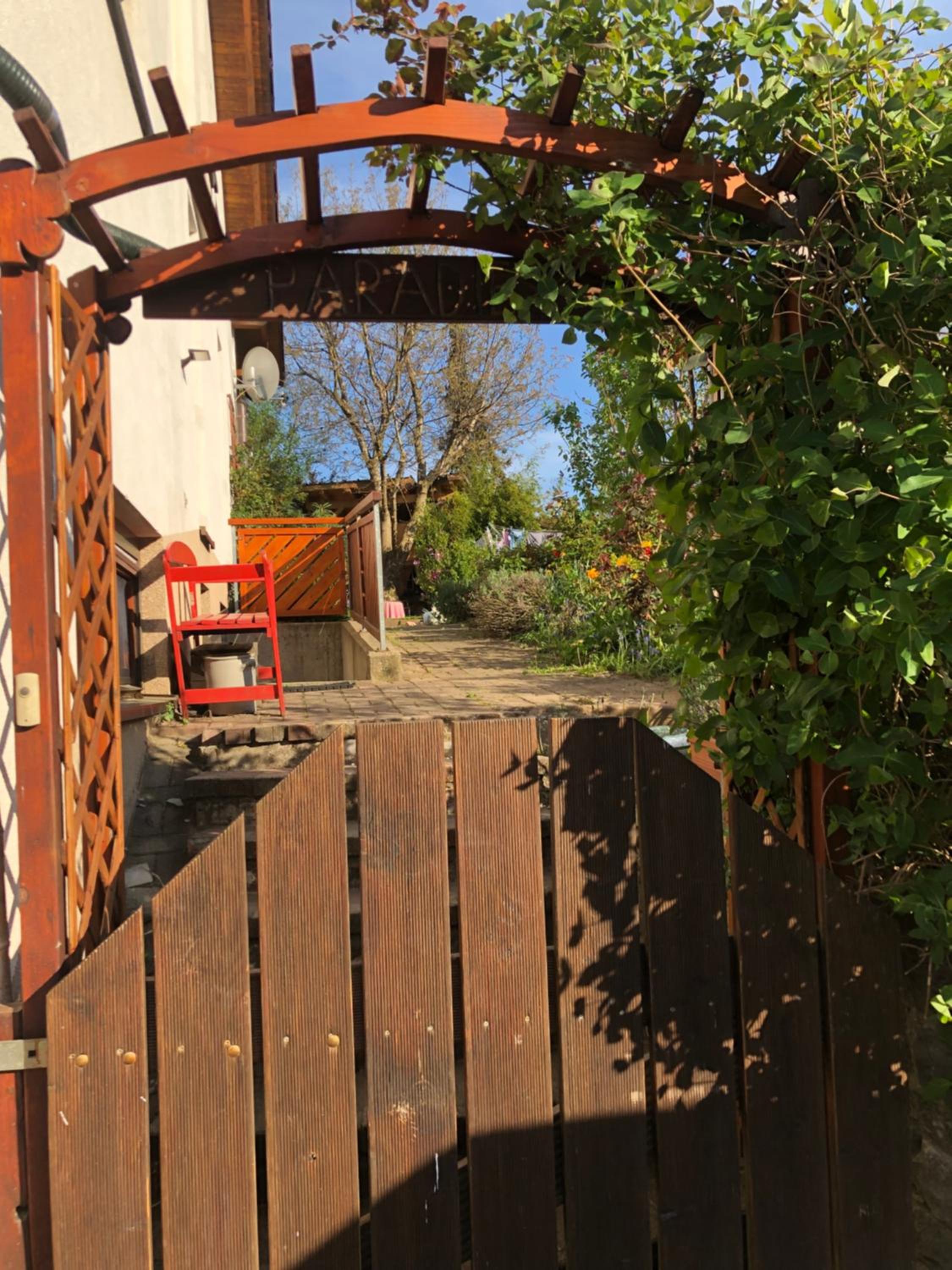 Photo 15