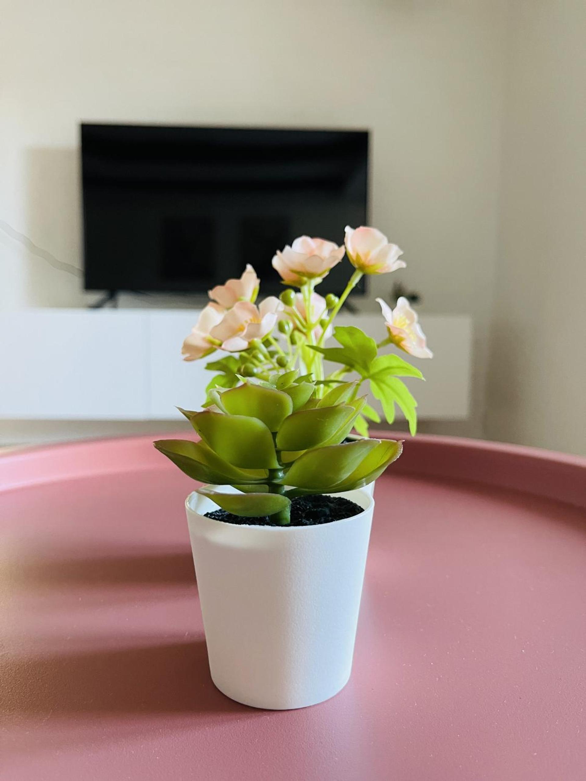 aday - Central Charming Apartment with Terrace