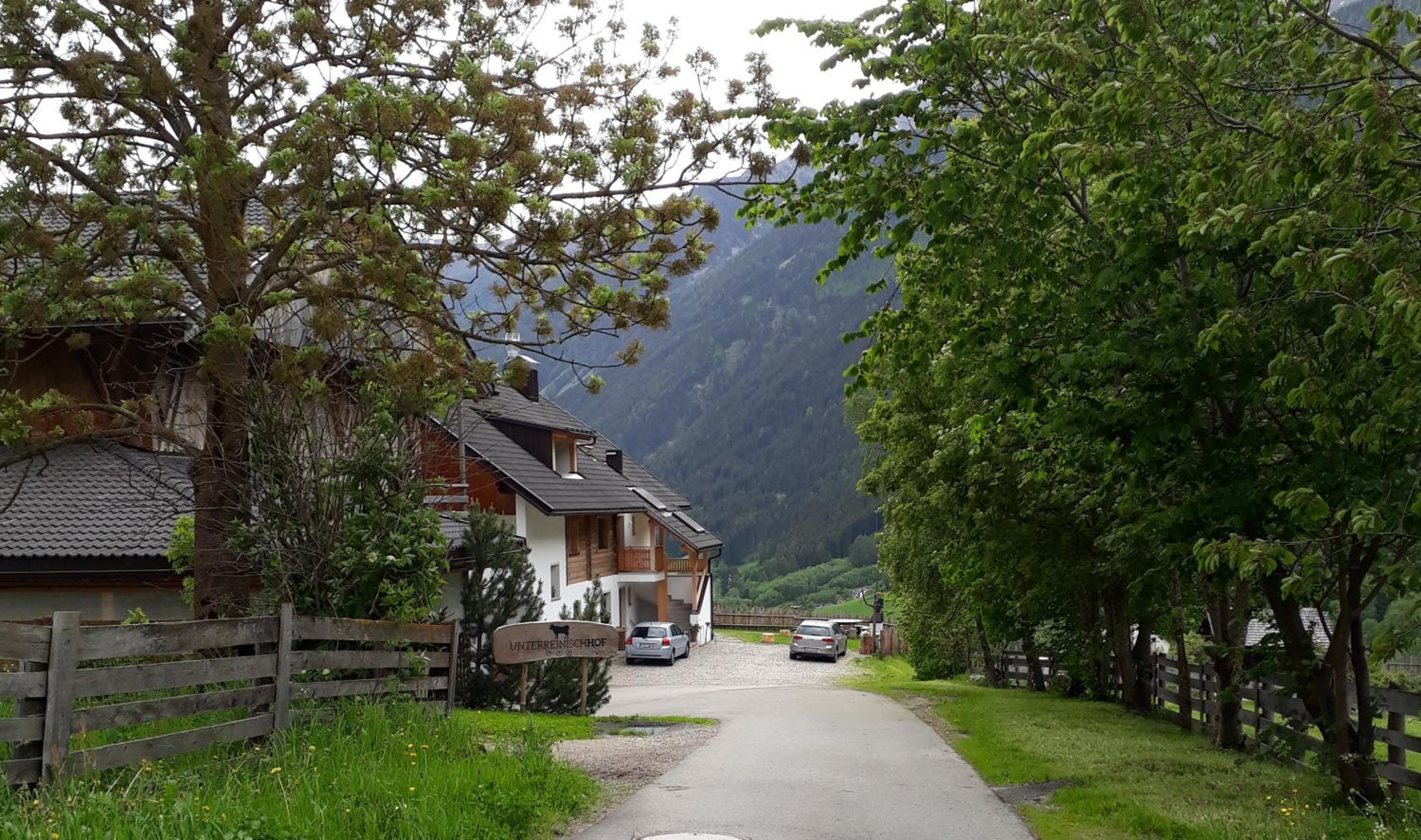Photo 12