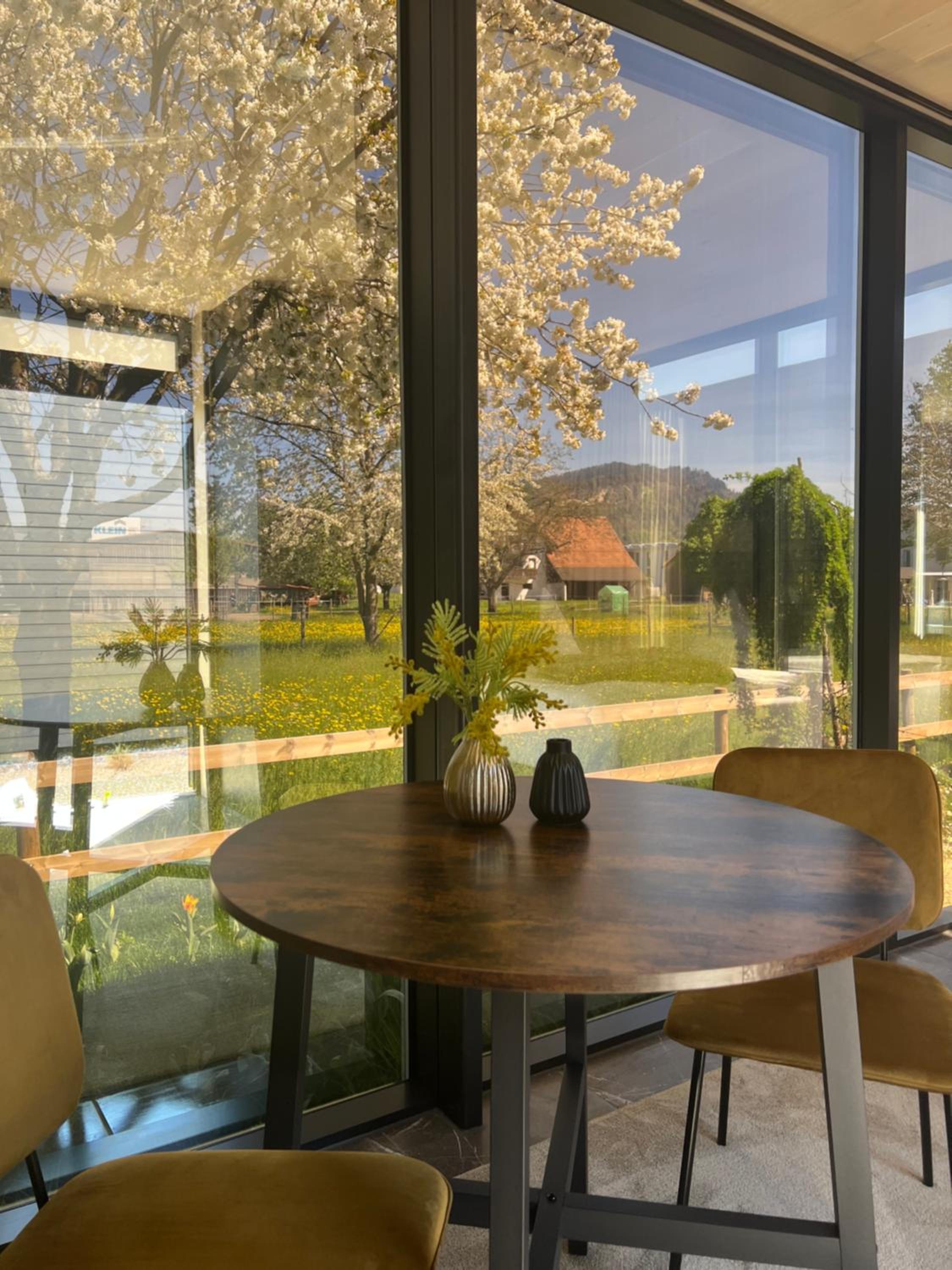 Natur Pur & Erlebnisurlaub im Spiegelhaus ÖÖD view 3