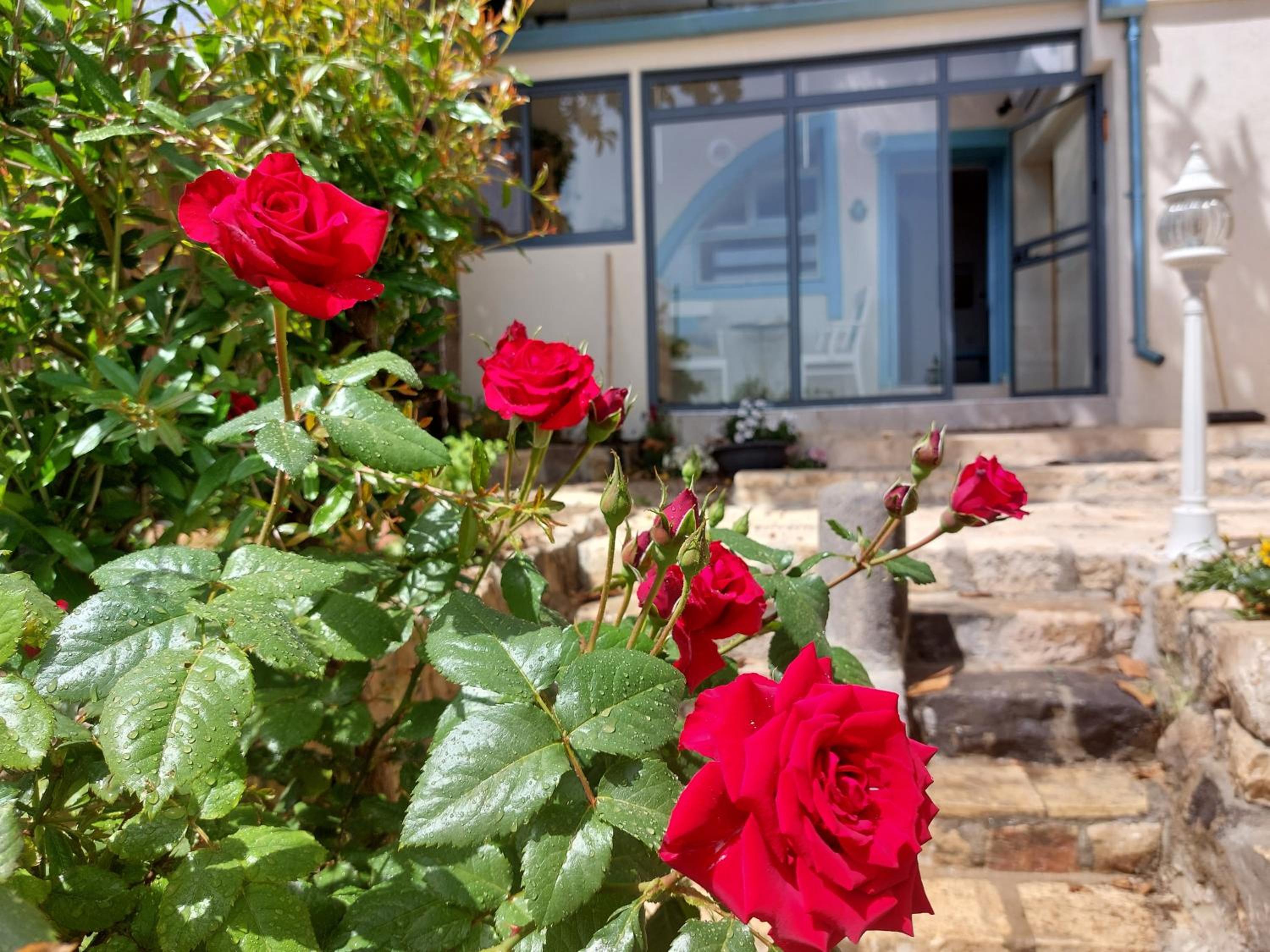 פינה שקטה בראש פינה העתיקה Quite Corner in old Rosh-Pina view 5