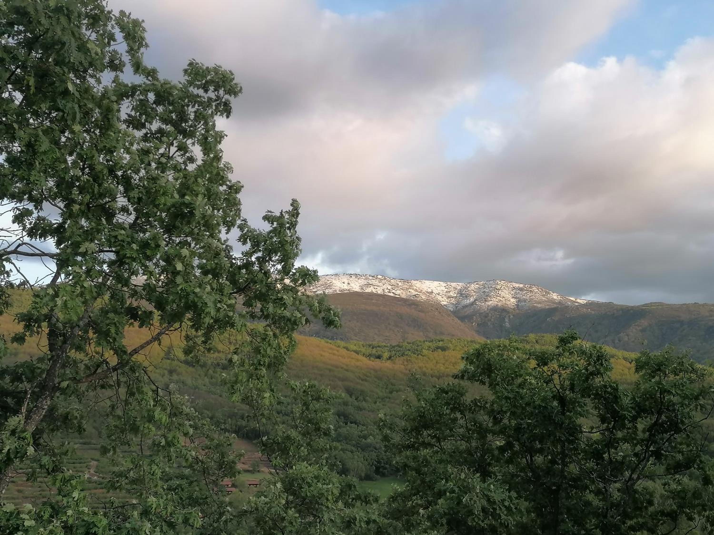 Photo 87