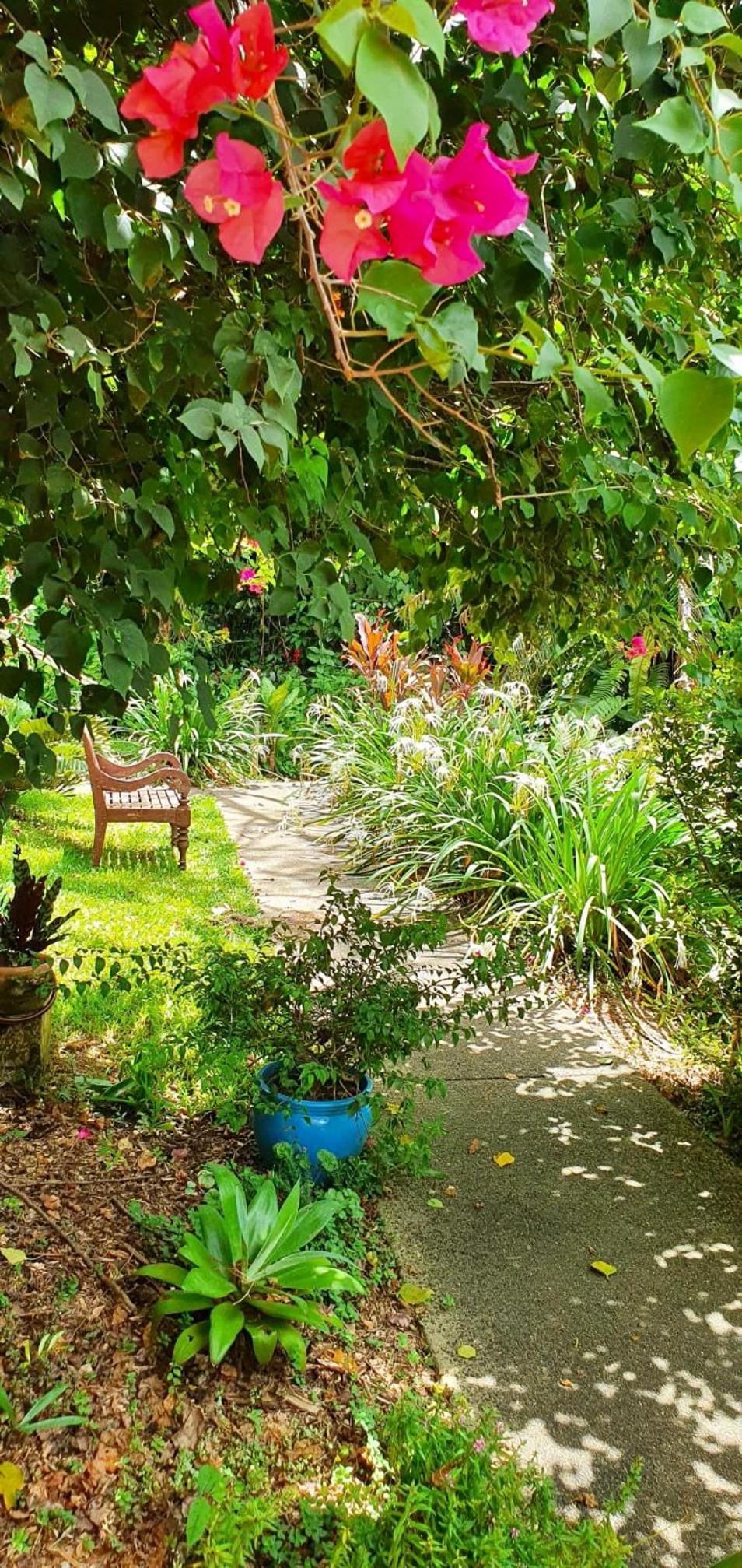 Babinda Quarters