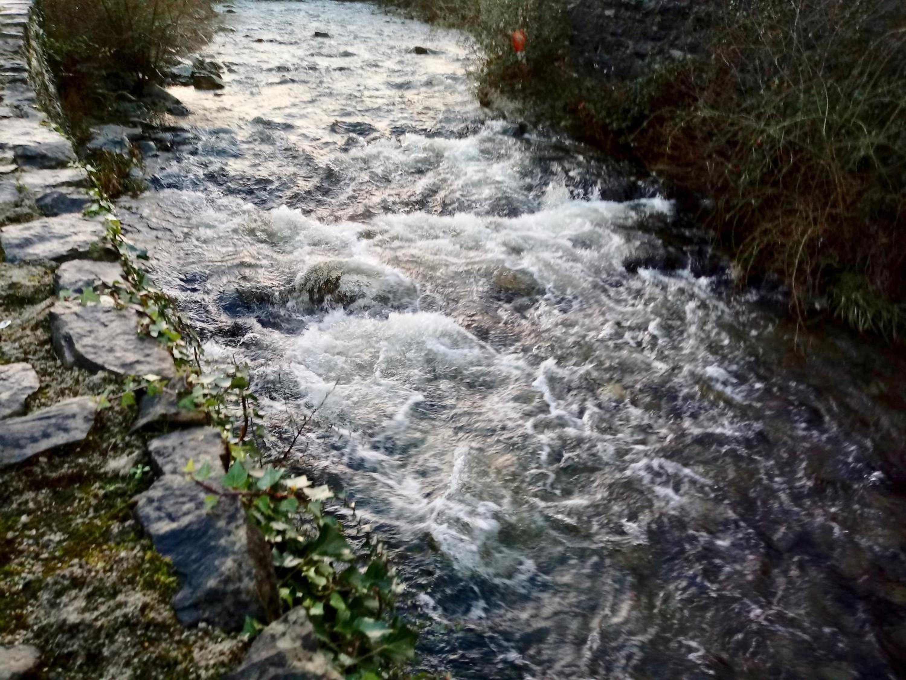 Photo 26