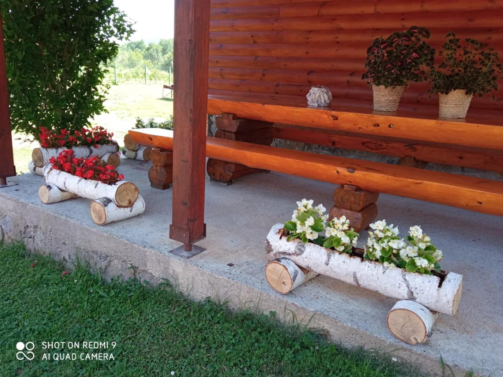Photo 14