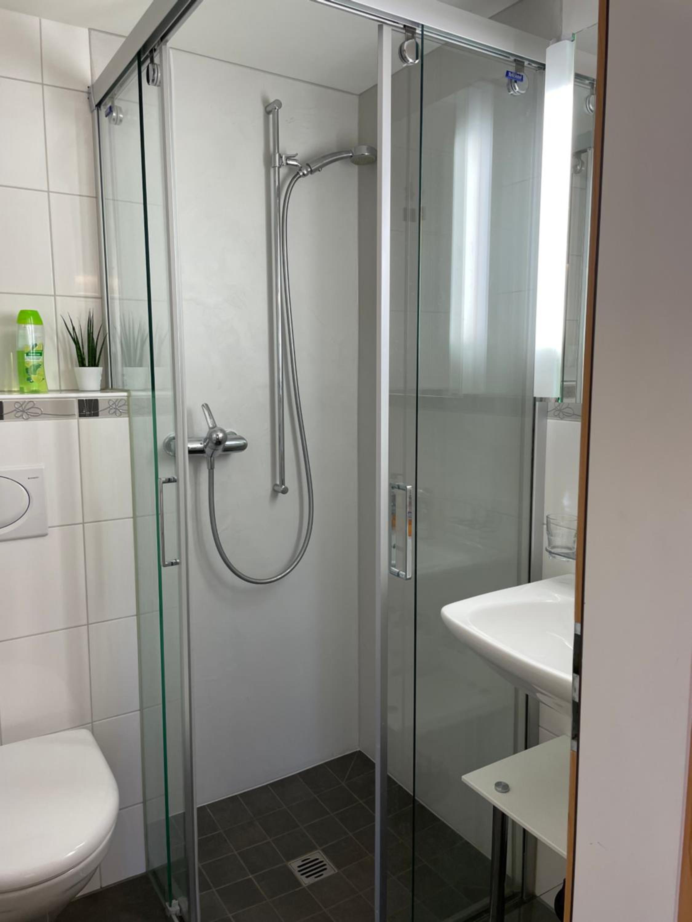 Alpenchalet Weidhaus Gstaad - Dachwohnung - Studio - Stockbettzimmer