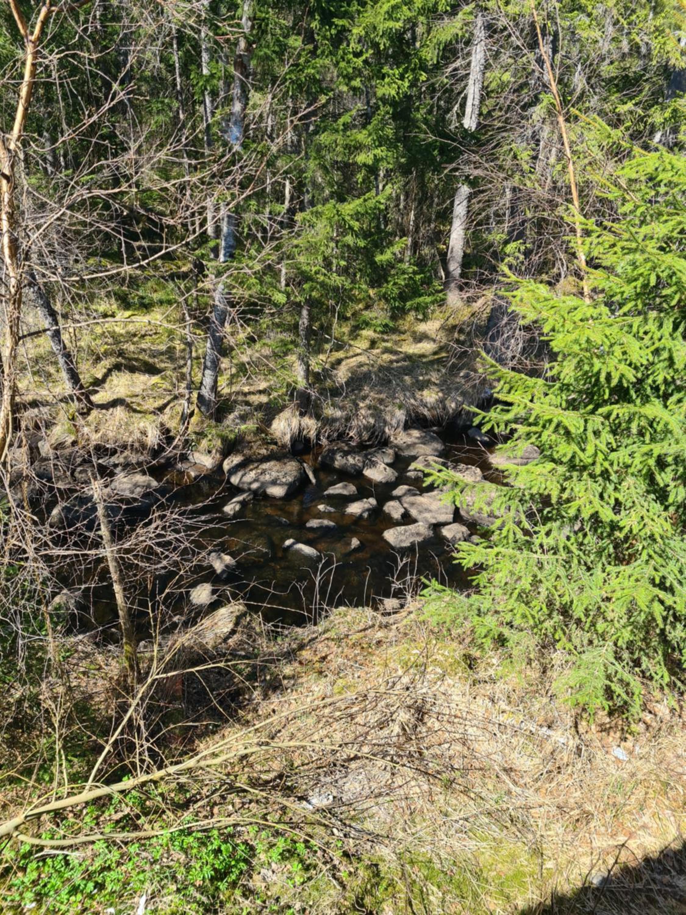 Photo 18