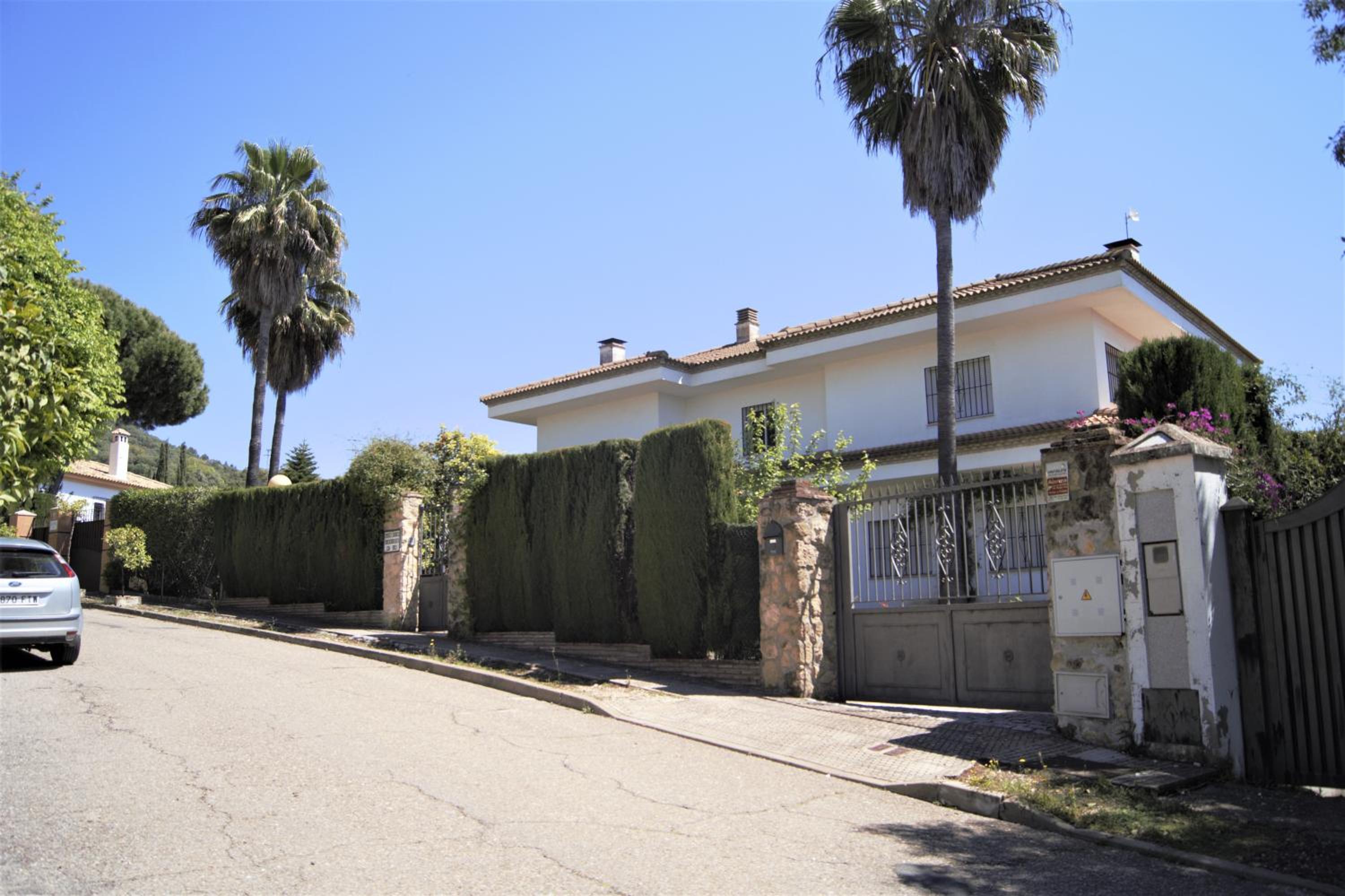 San Francisco Javier view 4