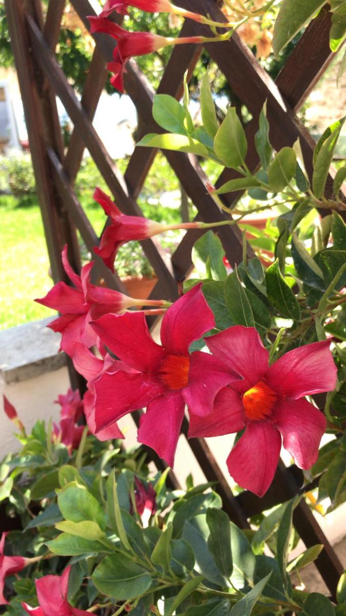Photo 58