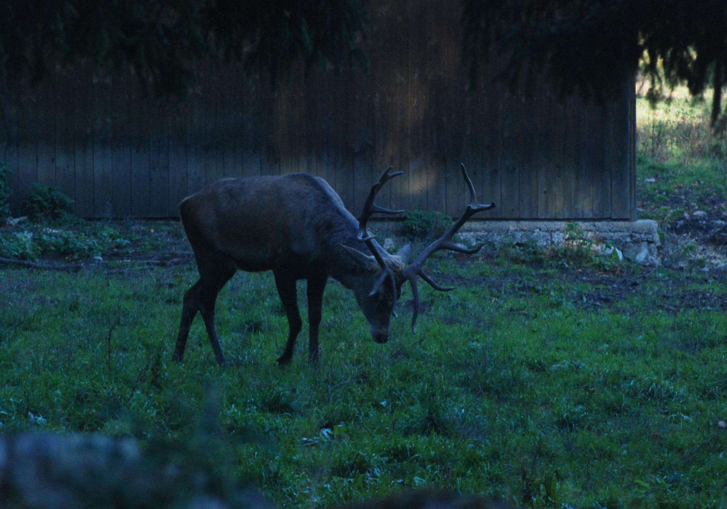 Photo 44