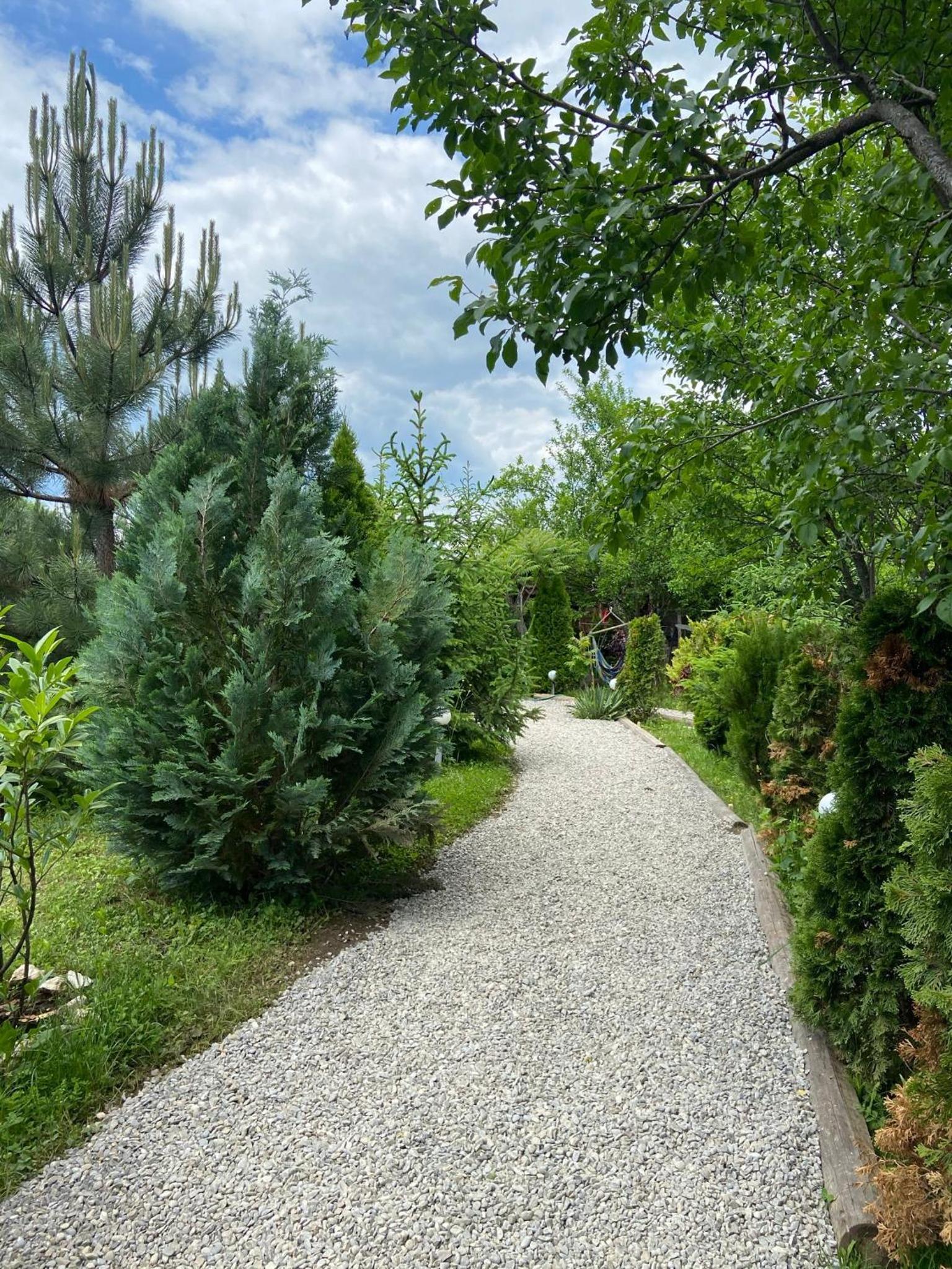 Photo 33